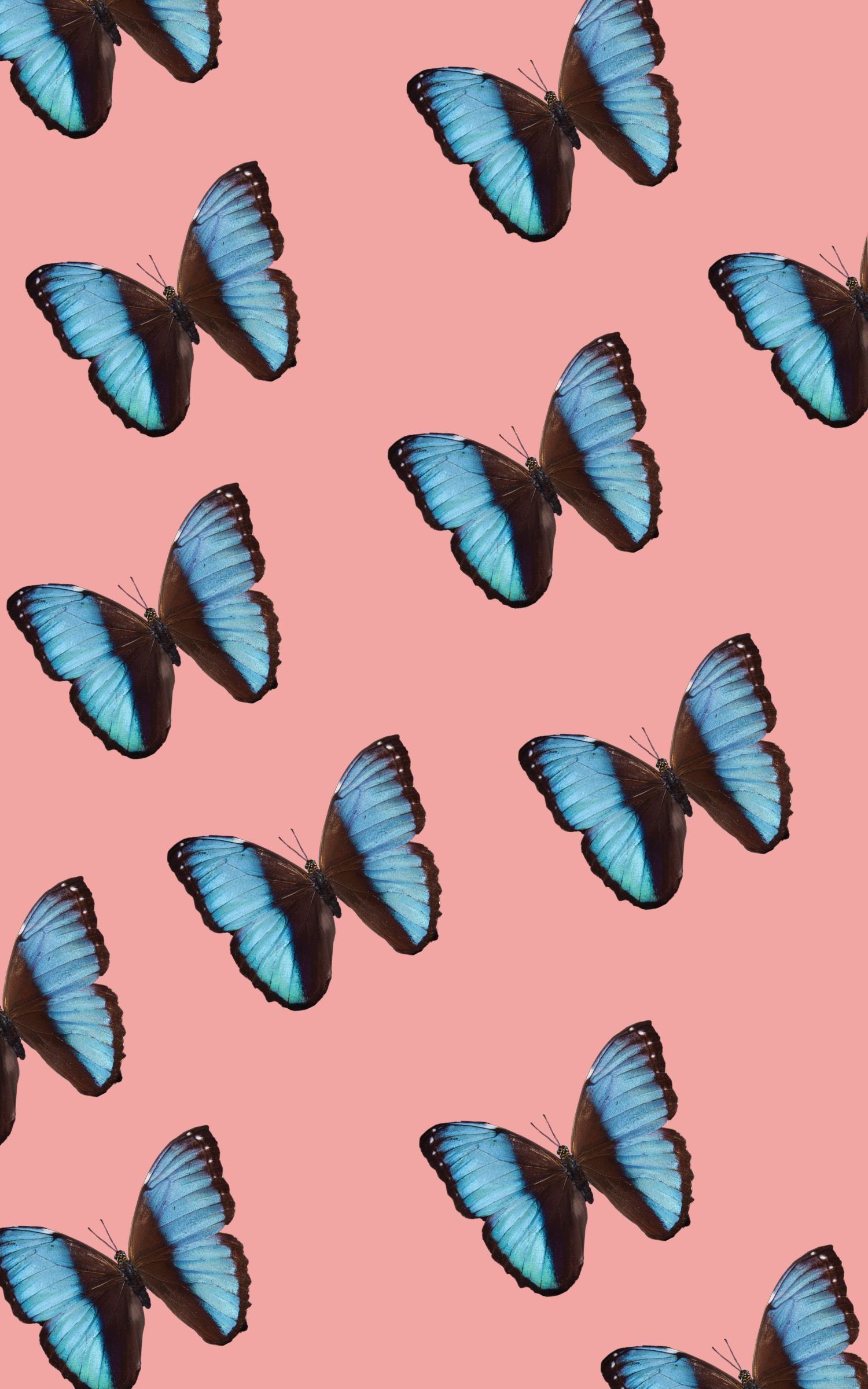 Blue Aesthetic Butterfly Wallpapers Wallpaper Cave