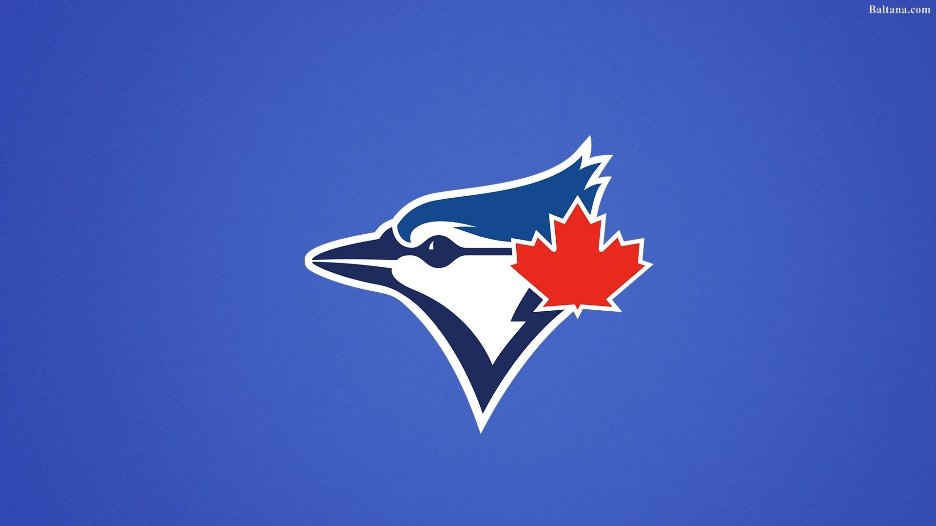 Blue Jay Desktop Wallpapers Wallpaper Cave
