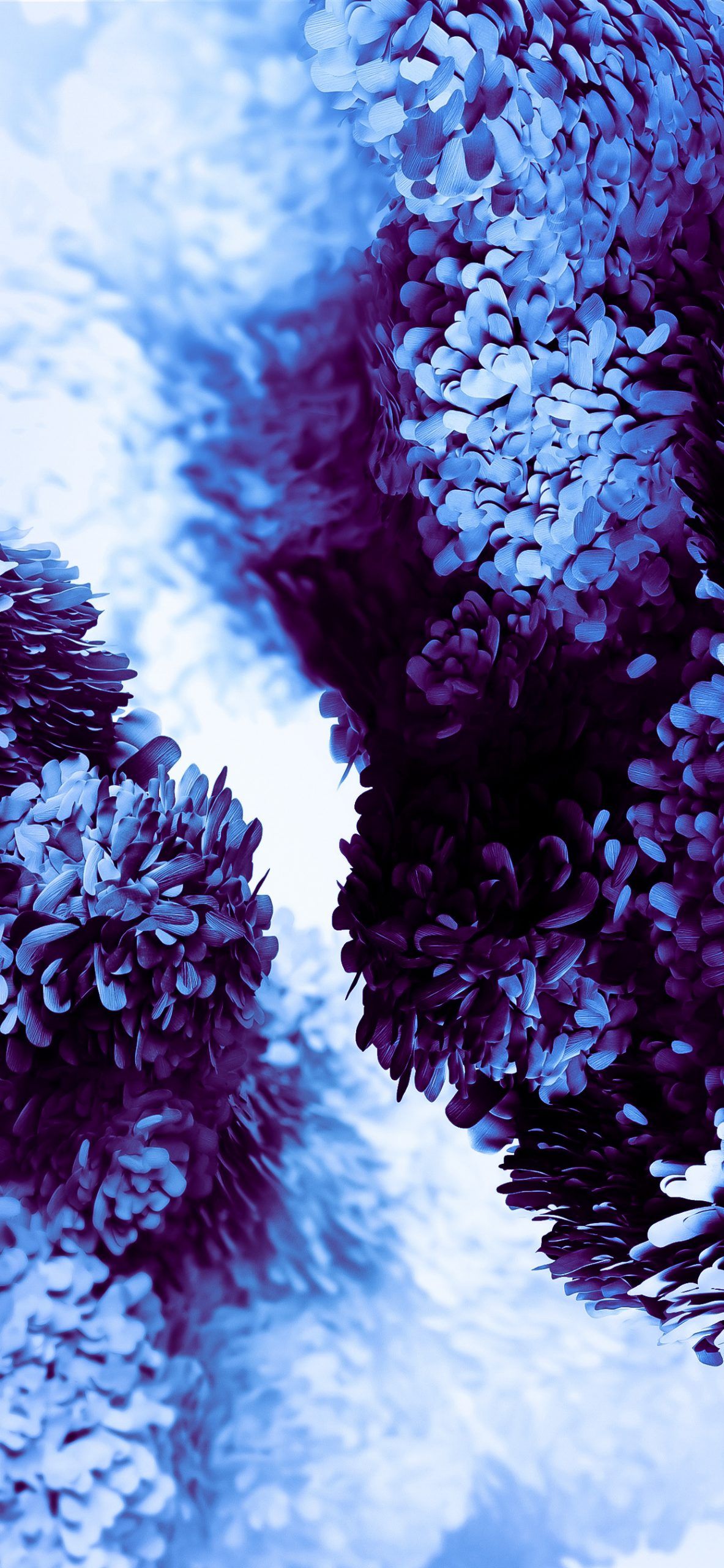 Super Amoled Samsung Galaxy S20 Wallpapers Wallpaper Cave