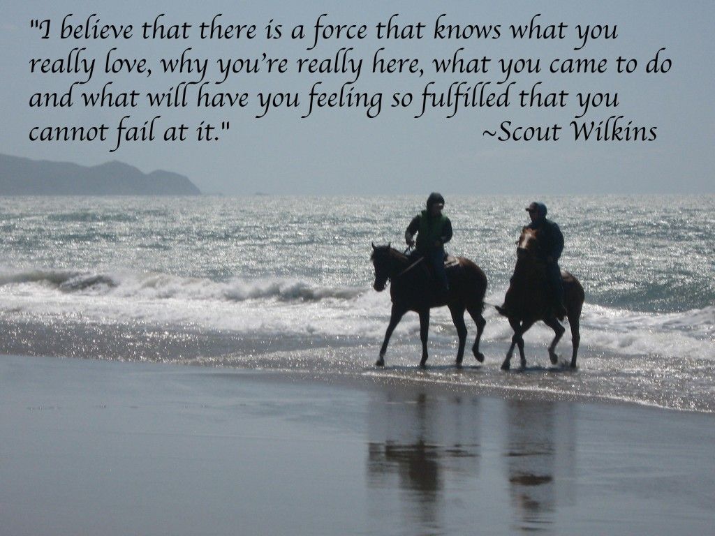 Horse Quotes Wallpapers Wallpaper Cave