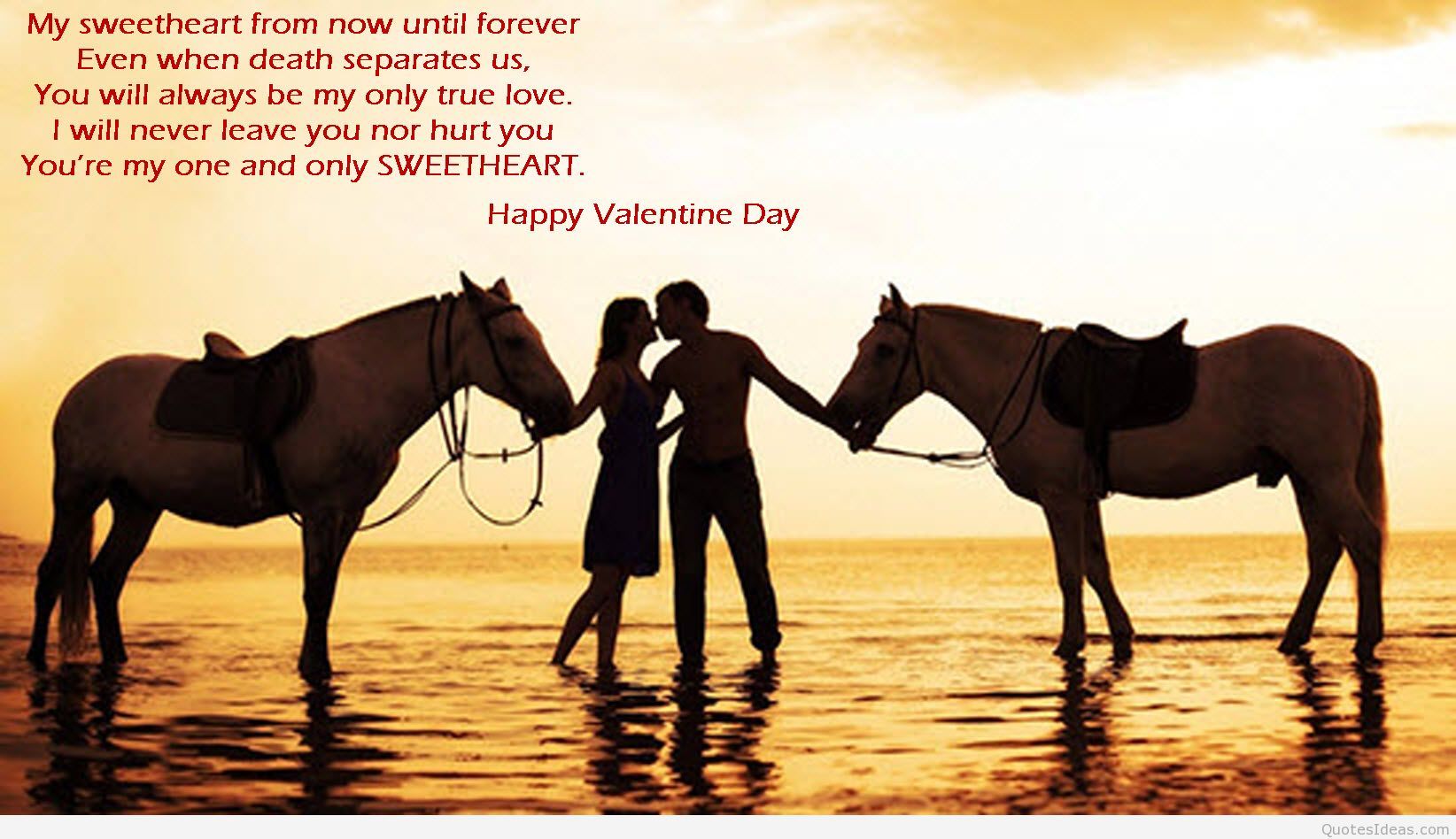 Horse Quotes Wallpapers Wallpaper Cave