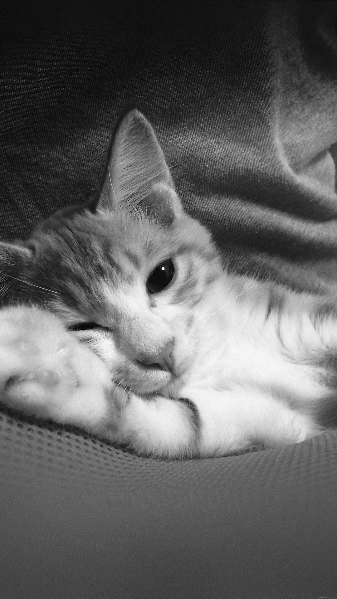 Cute Dark iPhone Wallpapers Wallpaper Cave