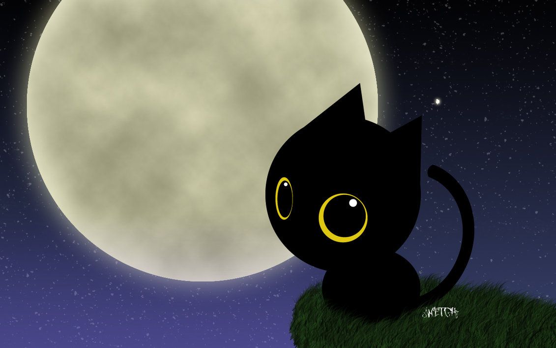 Cute Black Cats Wallpapers Wallpaper Cave