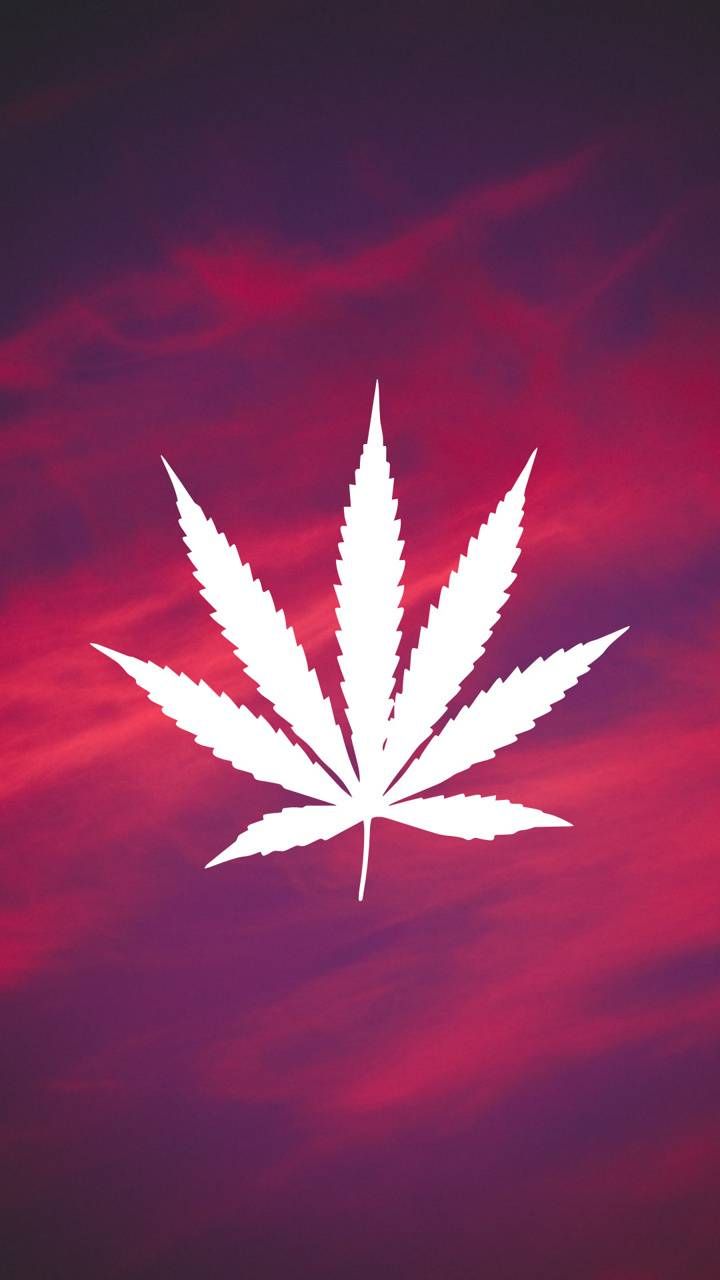 Purple Aesthetic Wallpaper Weed Weed Aesthetic Wallpapers Wallpaper