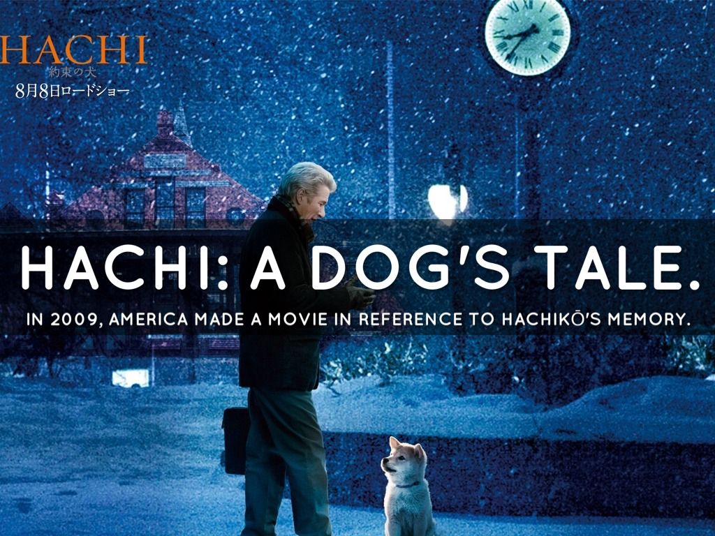 Hachi A Dog's Tale Wallpapers Wallpaper Cave