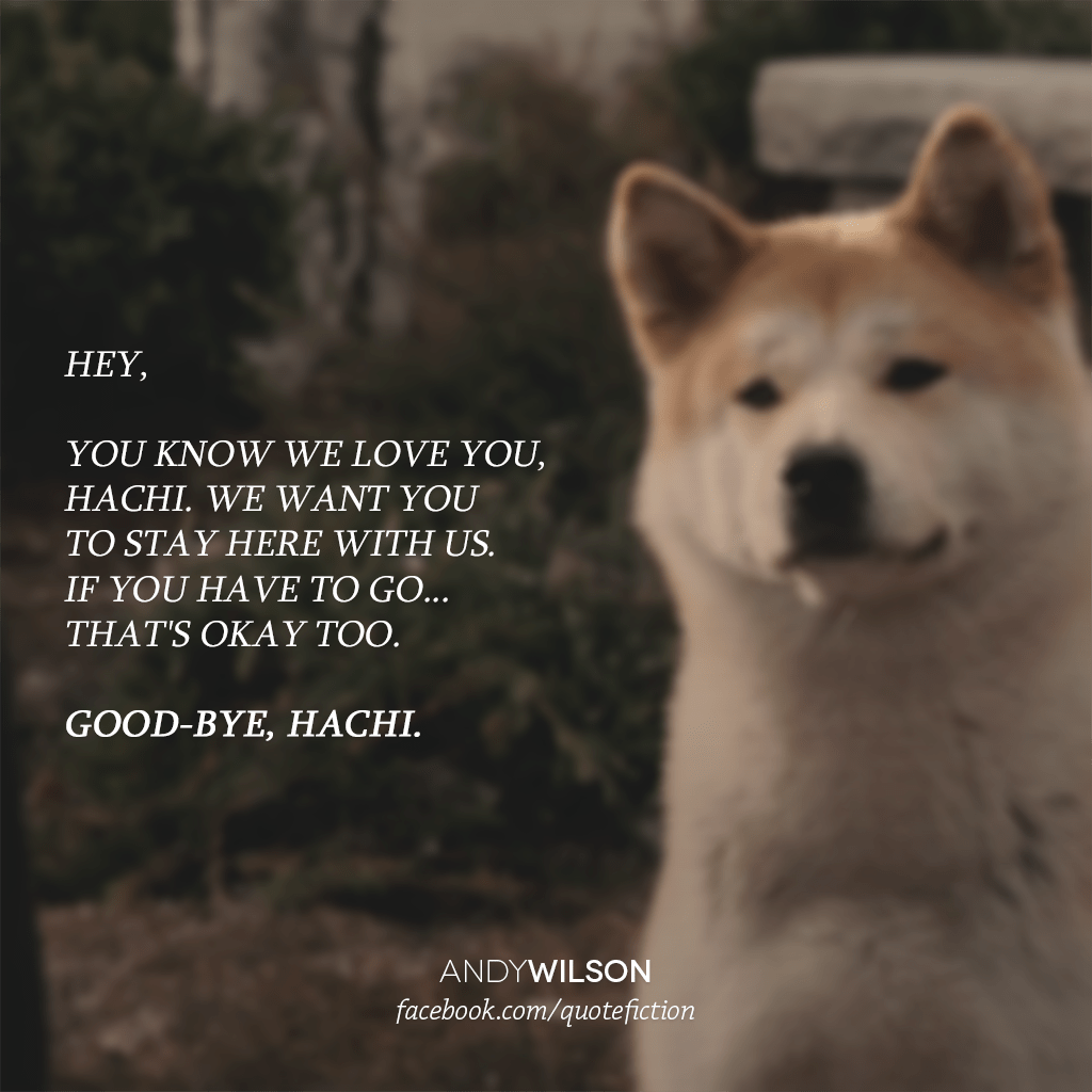 Hachiko Wallpapers Wallpaper Cave
