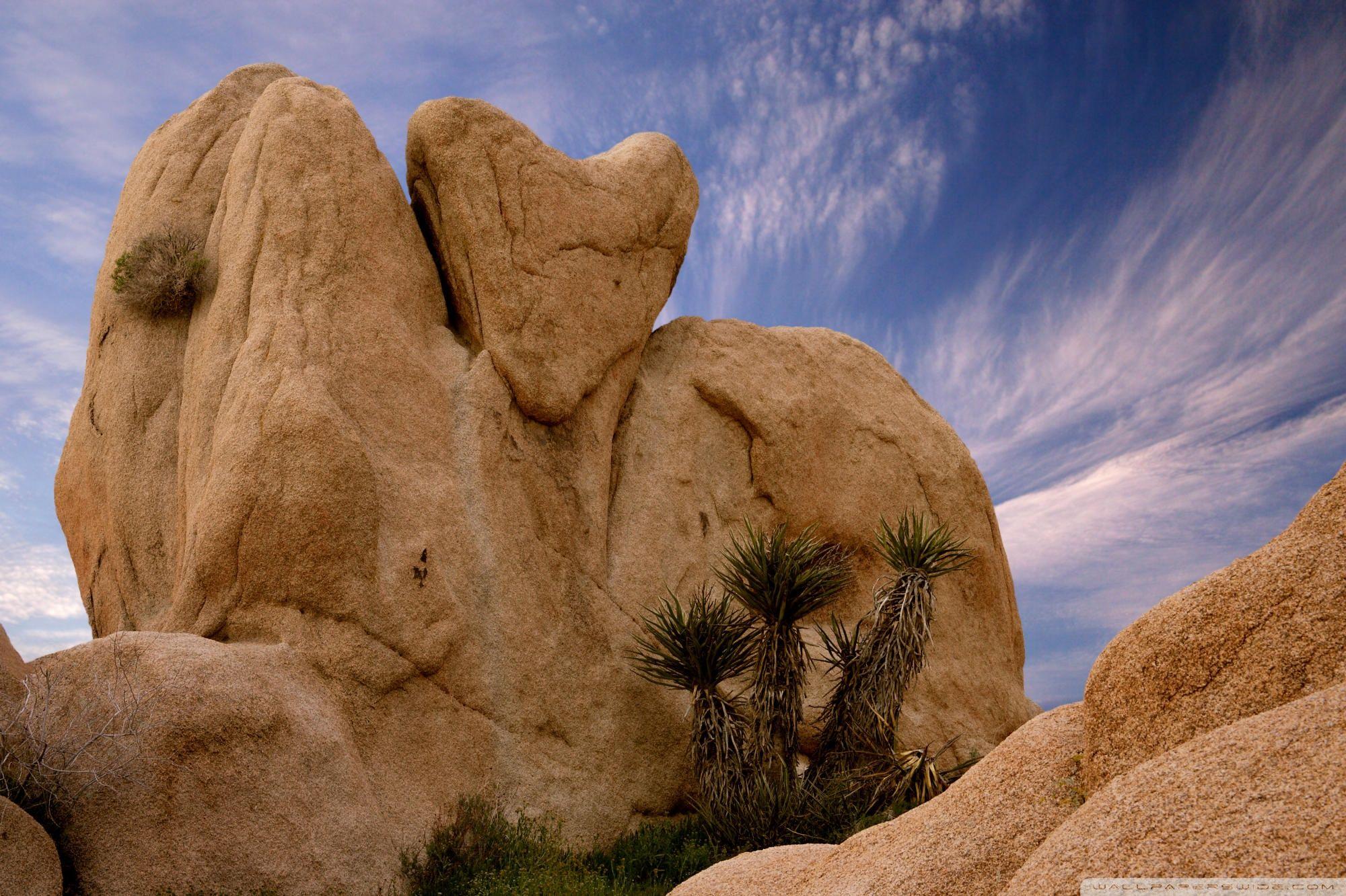 Joshua Tree National Park Wallpapers Wallpaper Cave