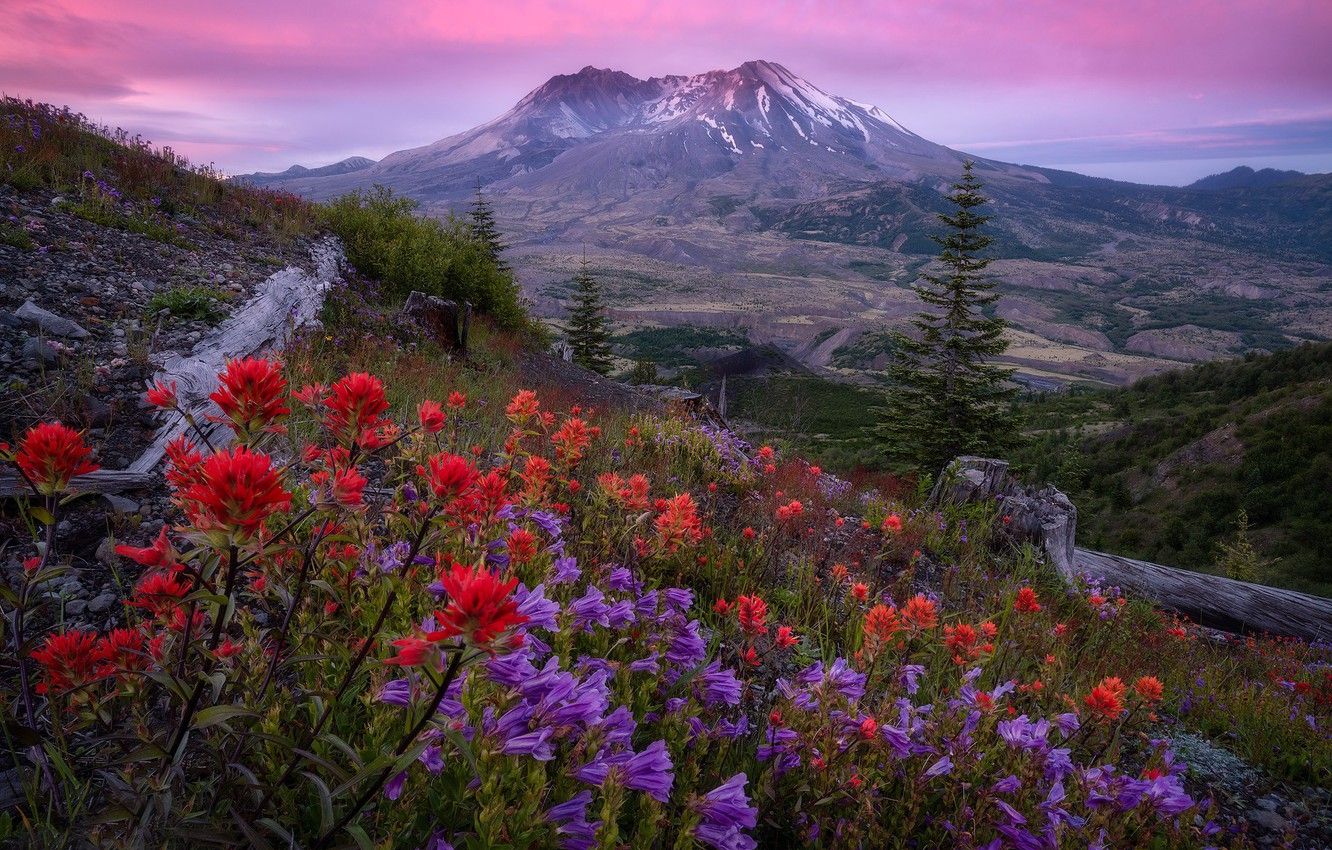 Mt. St. Helens Wallpapers Wallpaper Cave