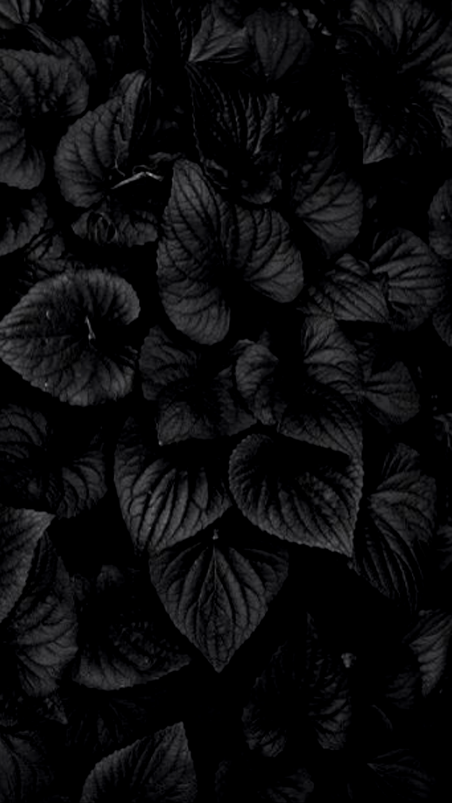 Dark Amoled 4k Wallpapers Wallpaper Cave