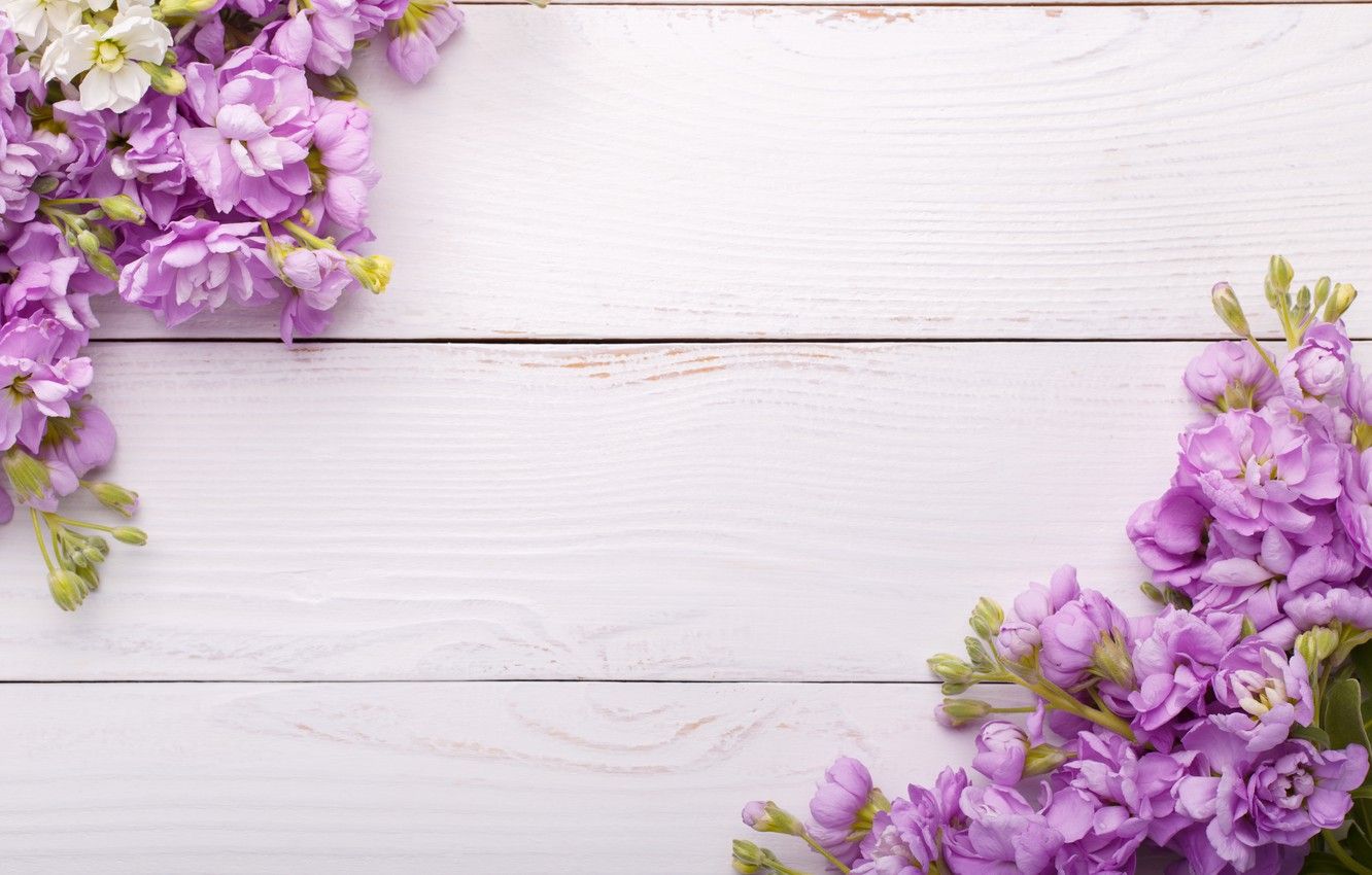 Spring Flowers On Wood Wallpapers Wallpaper Cave