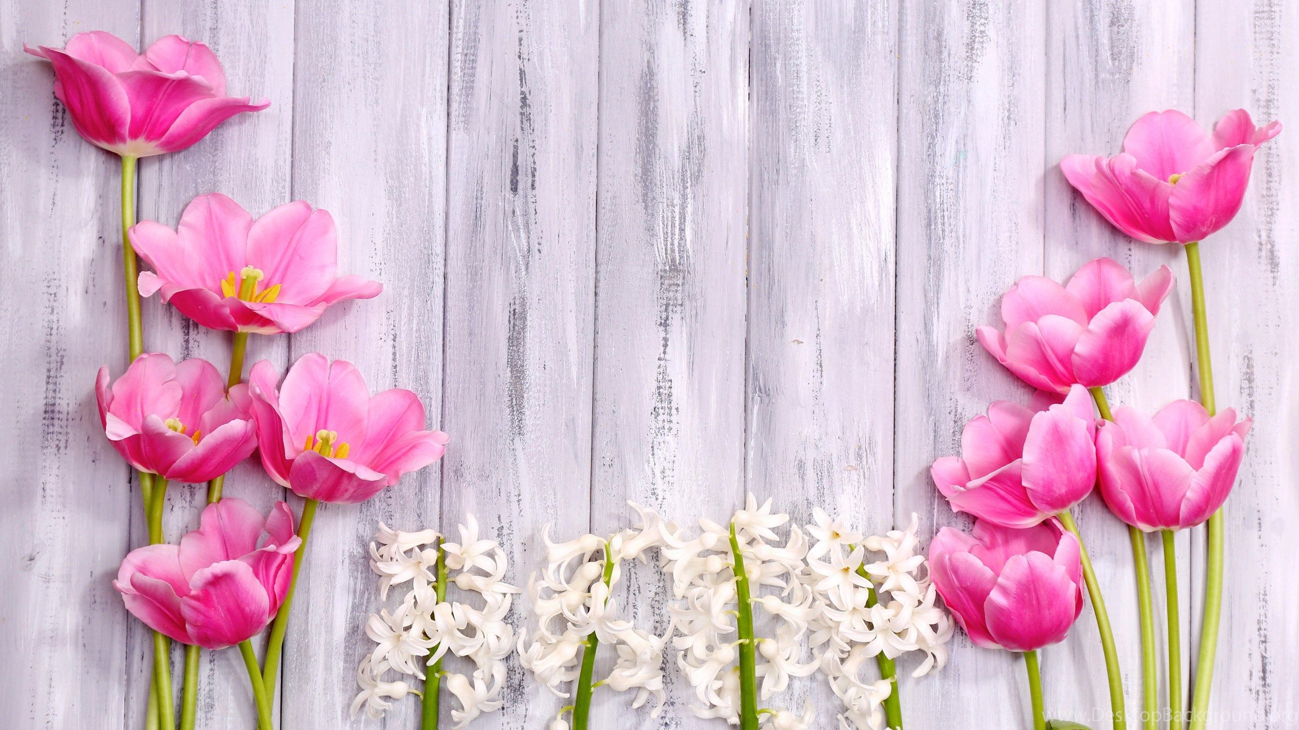 Spring Flowers On Wood Wallpapers Wallpaper Cave