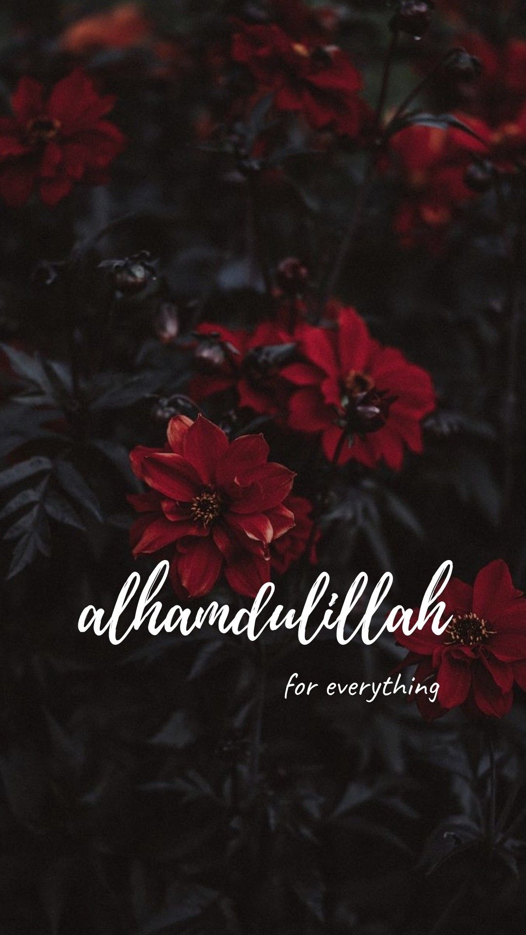 Alhamdulillah Wallpapers Wallpaper Cave