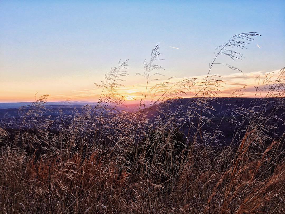 Aesthetic Field Wallpapers Wallpaper Cave