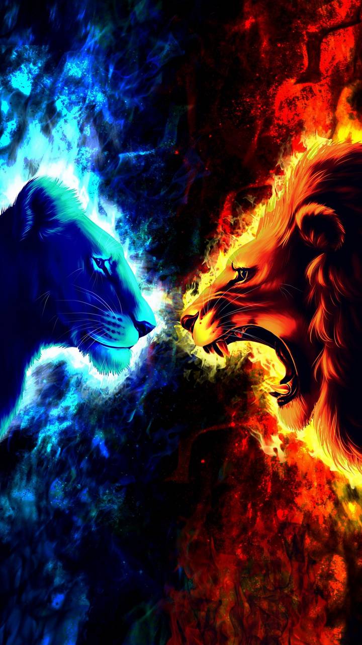 Wolf Vs Lion Wallpaper