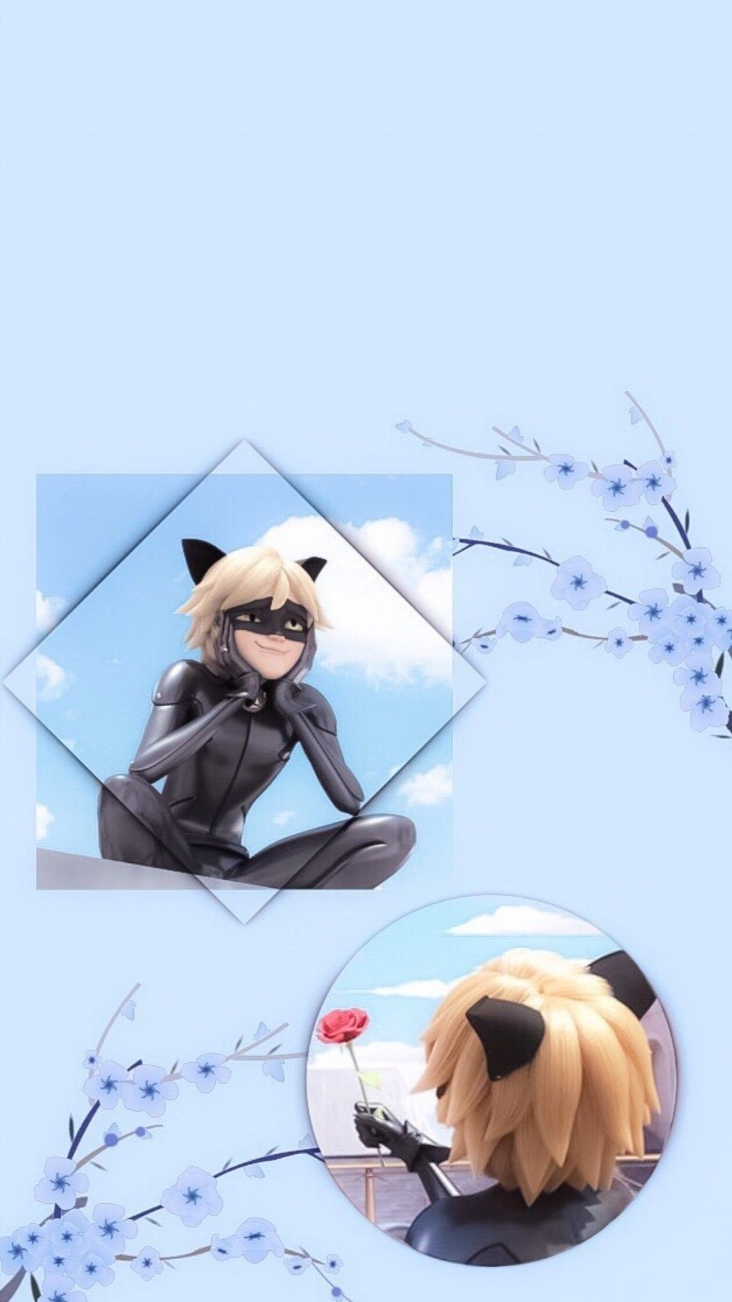 Aesthetic Chat Noir Wallpapers Wallpaper Cave
