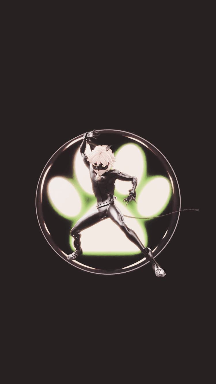 Aesthetic Chat Noir Wallpapers Wallpaper Cave