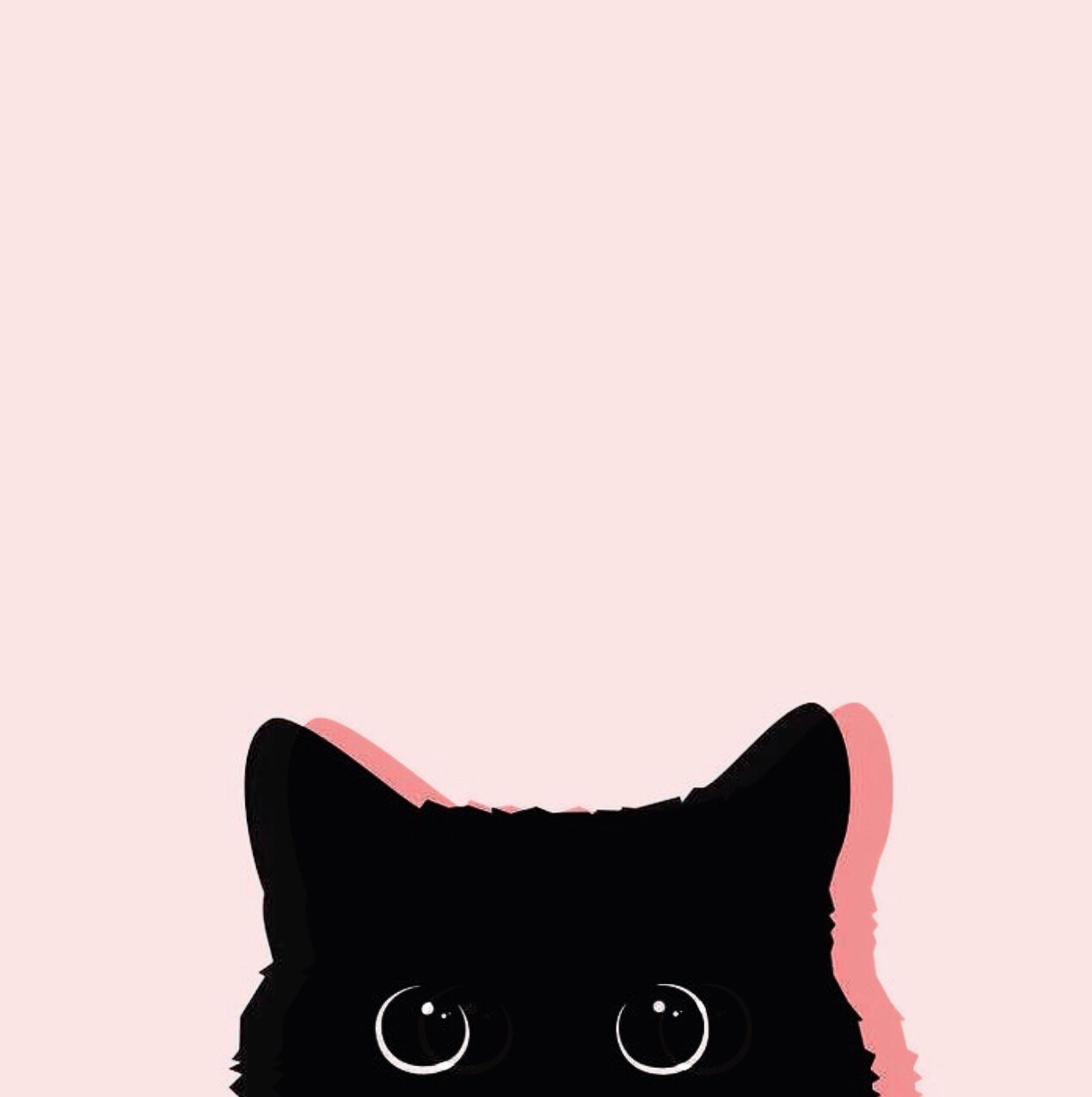 Cats Tumblr Wallpapers Wallpaper Cave
