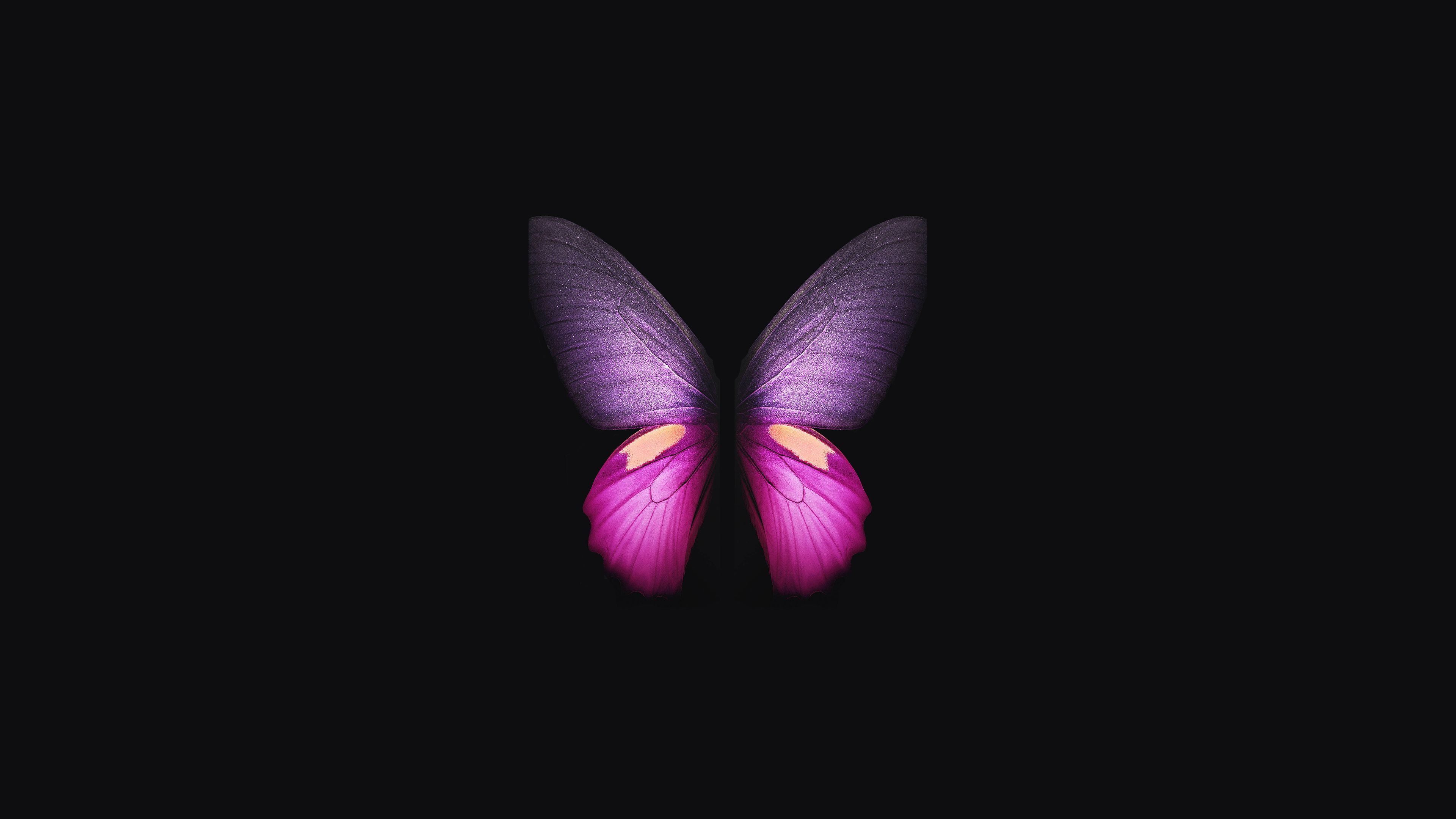 Butterfly Laptop Wallpapers Wallpaper Cave