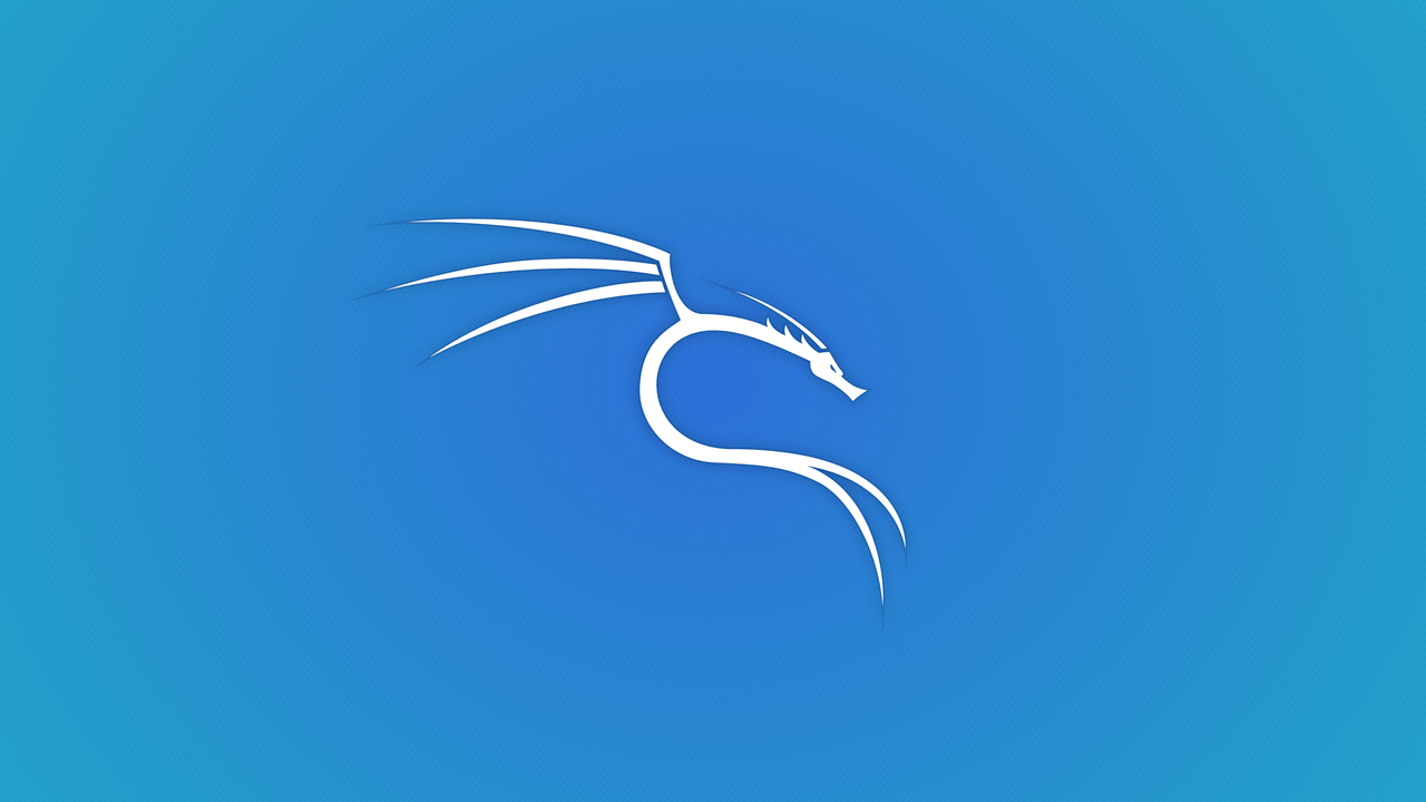 Kali Linux HD Desktop Wallpapers Wallpaper Cave