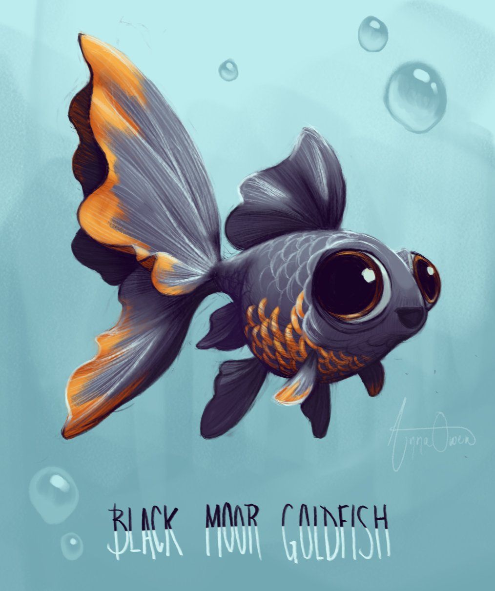 Black Moor Goldfish Wallpapers Wallpaper Cave