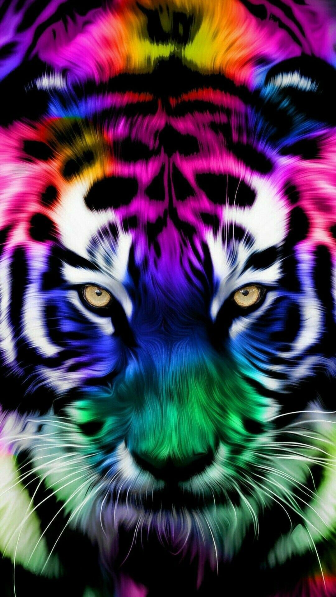Coloured Tiger Wallpapers Wallpaper Cave