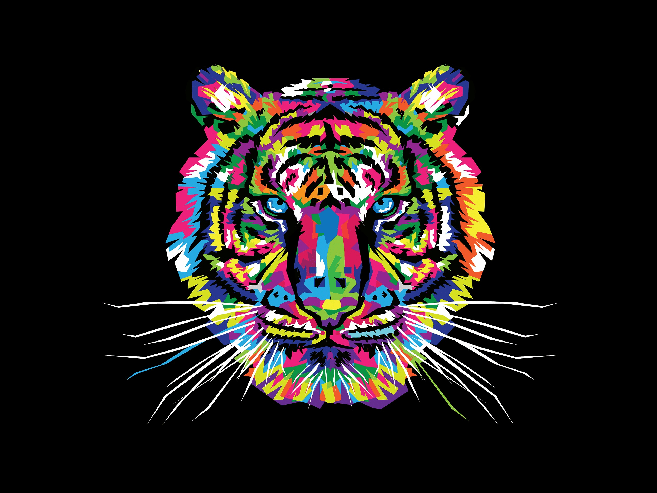 Coloured Tiger Wallpapers Wallpaper Cave