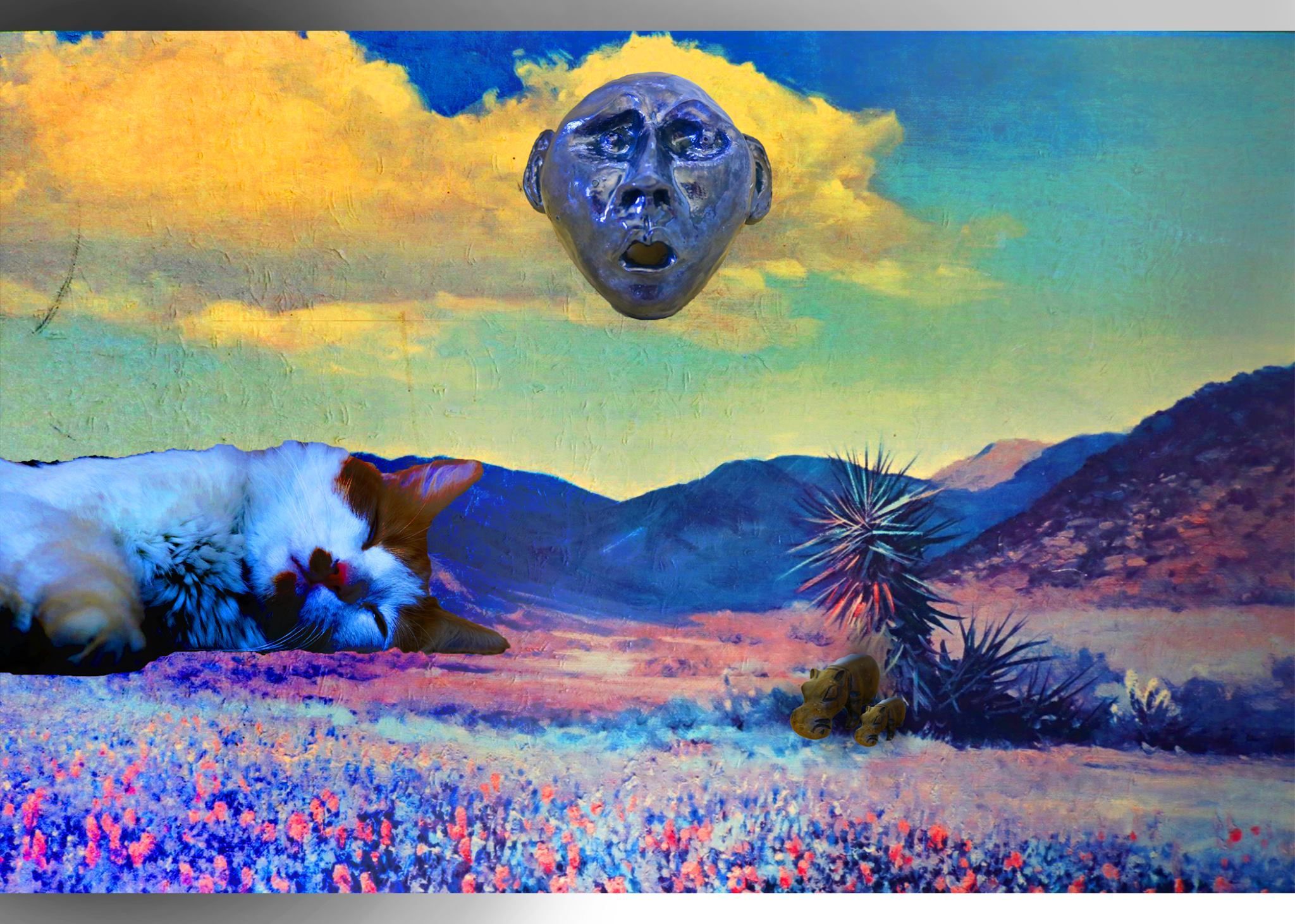 Still Woozy Wallpapers Wallpaper Cave