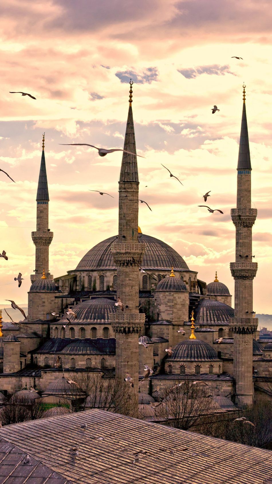 Blue Mosque Wallpapers Wallpaper Cave