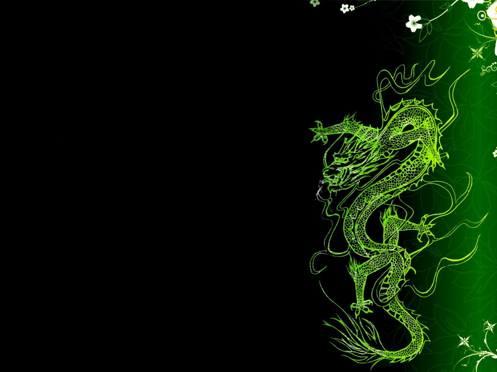 Aesthetic Dragon Wallpapers Wallpaper Cave