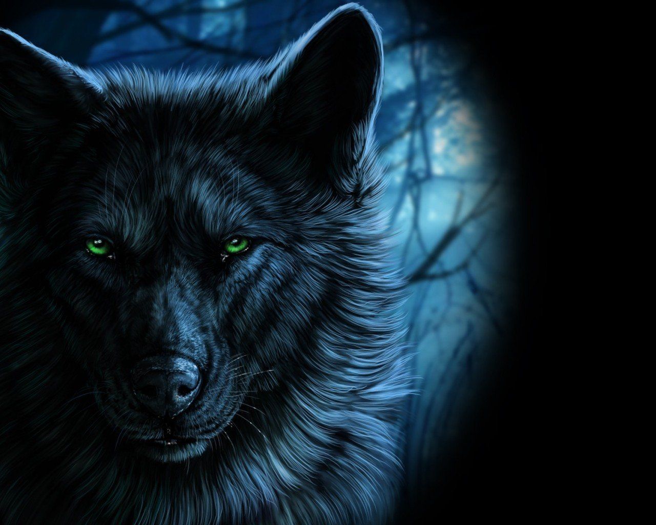 Blue And Green Wolf Wallpapers Wallpaper Cave