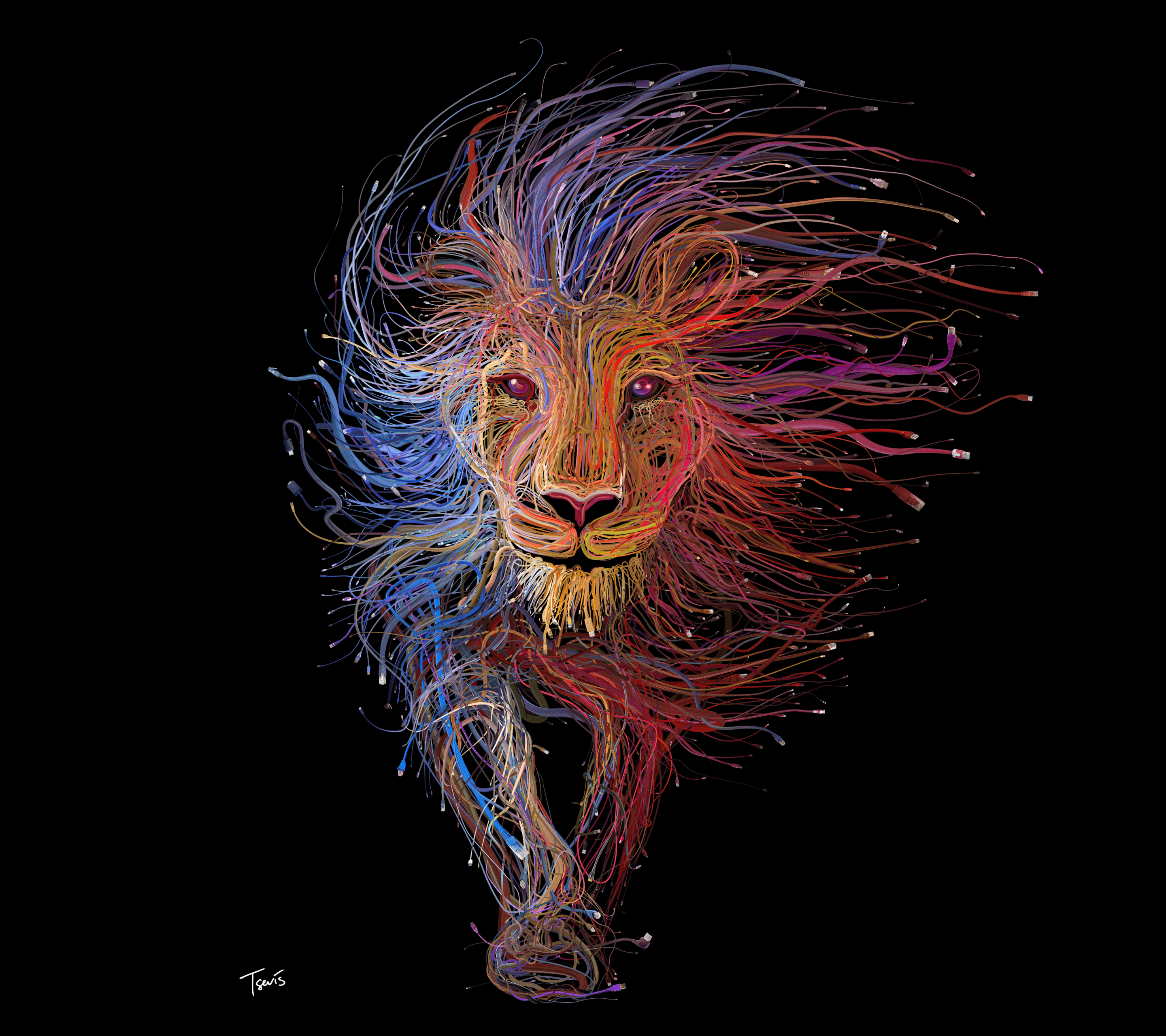 Lion Aesthetic Pictures Wallpapers Wallpaper Cave