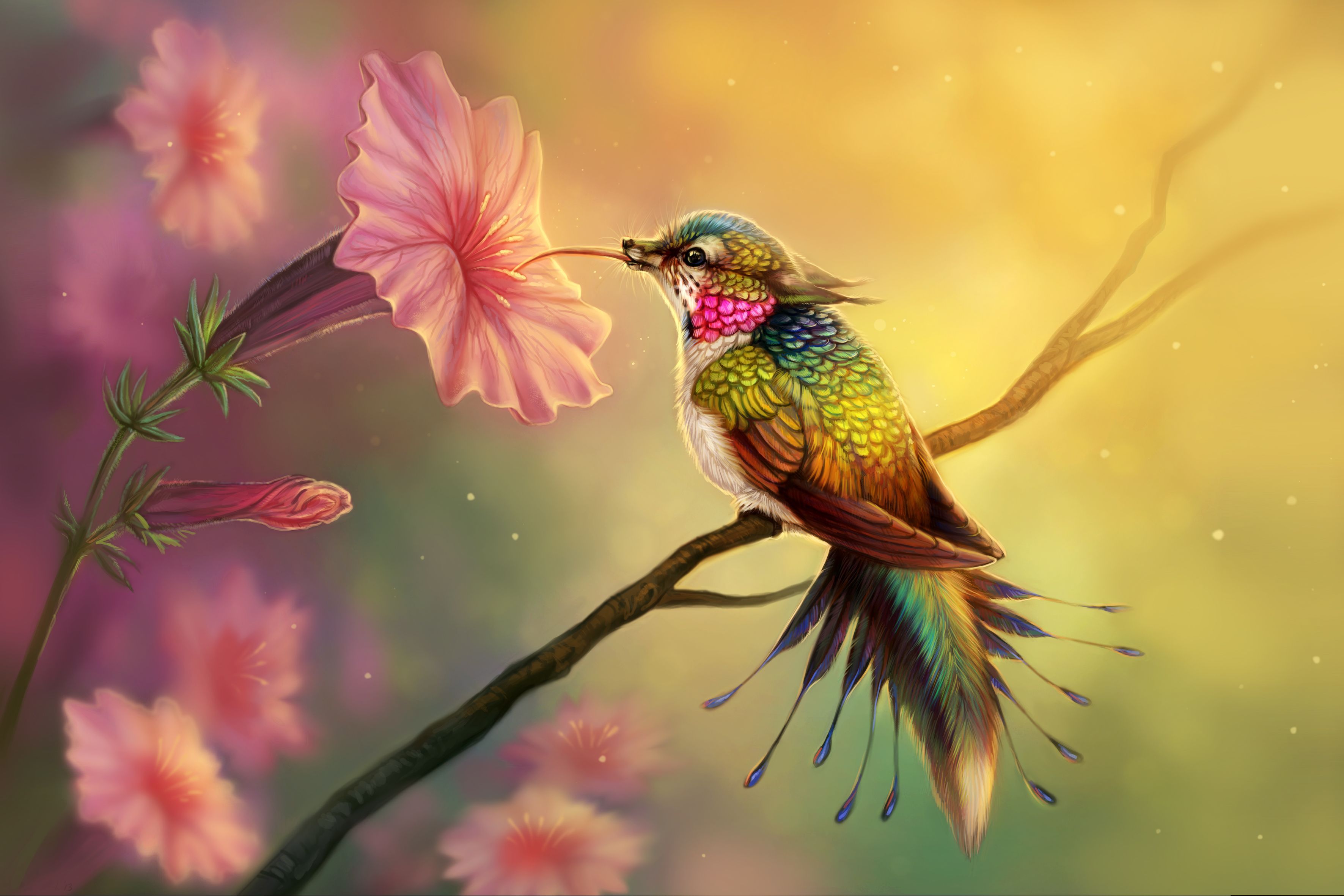 Humming Birds 4k Wallpapers Wallpaper Cave