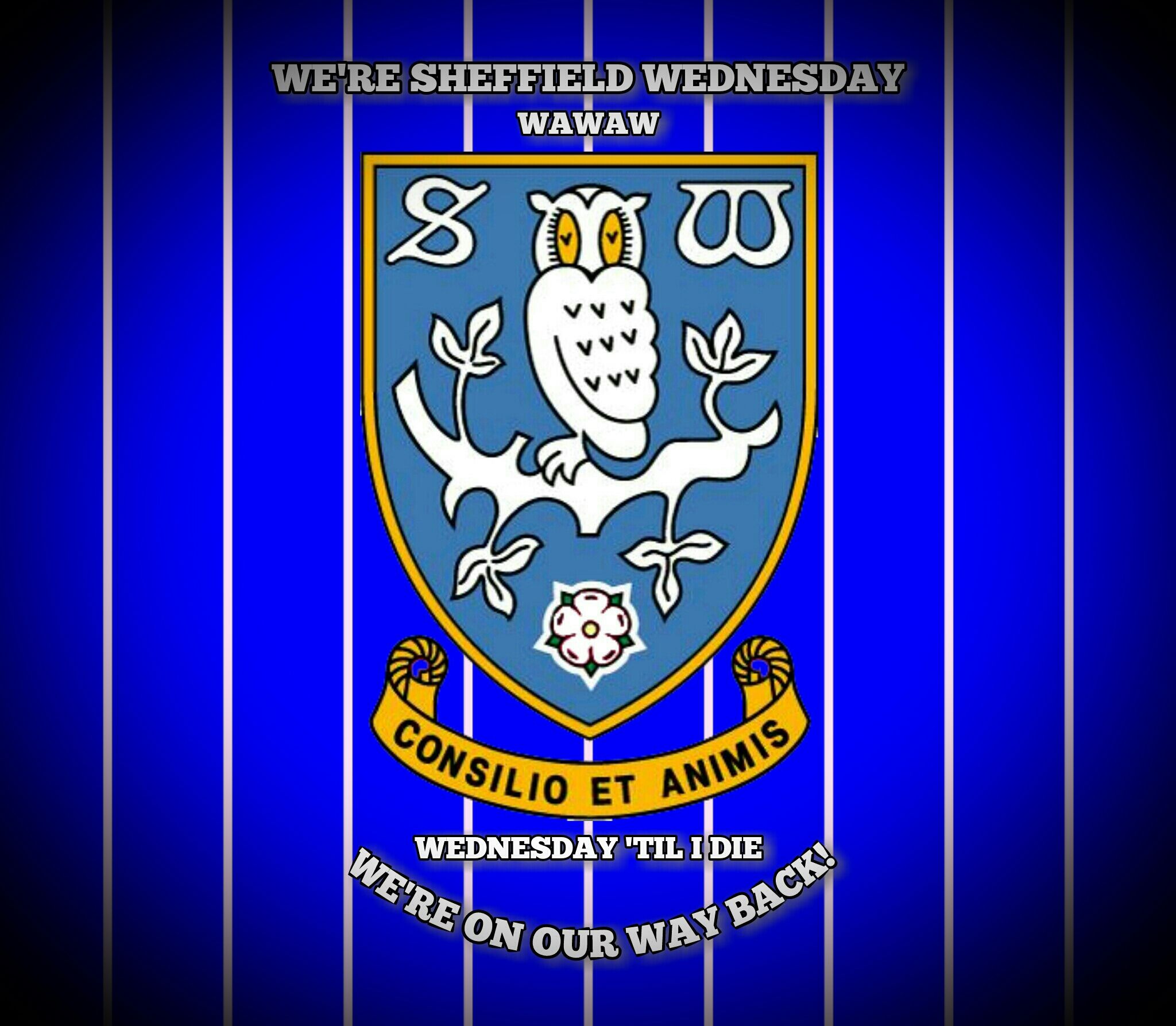 Sheffield Wednesday Wallpapers Wallpaper Cave