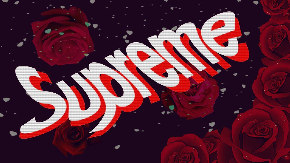 Roses On Supreme Logo Wallpapers Wallpaper Cave