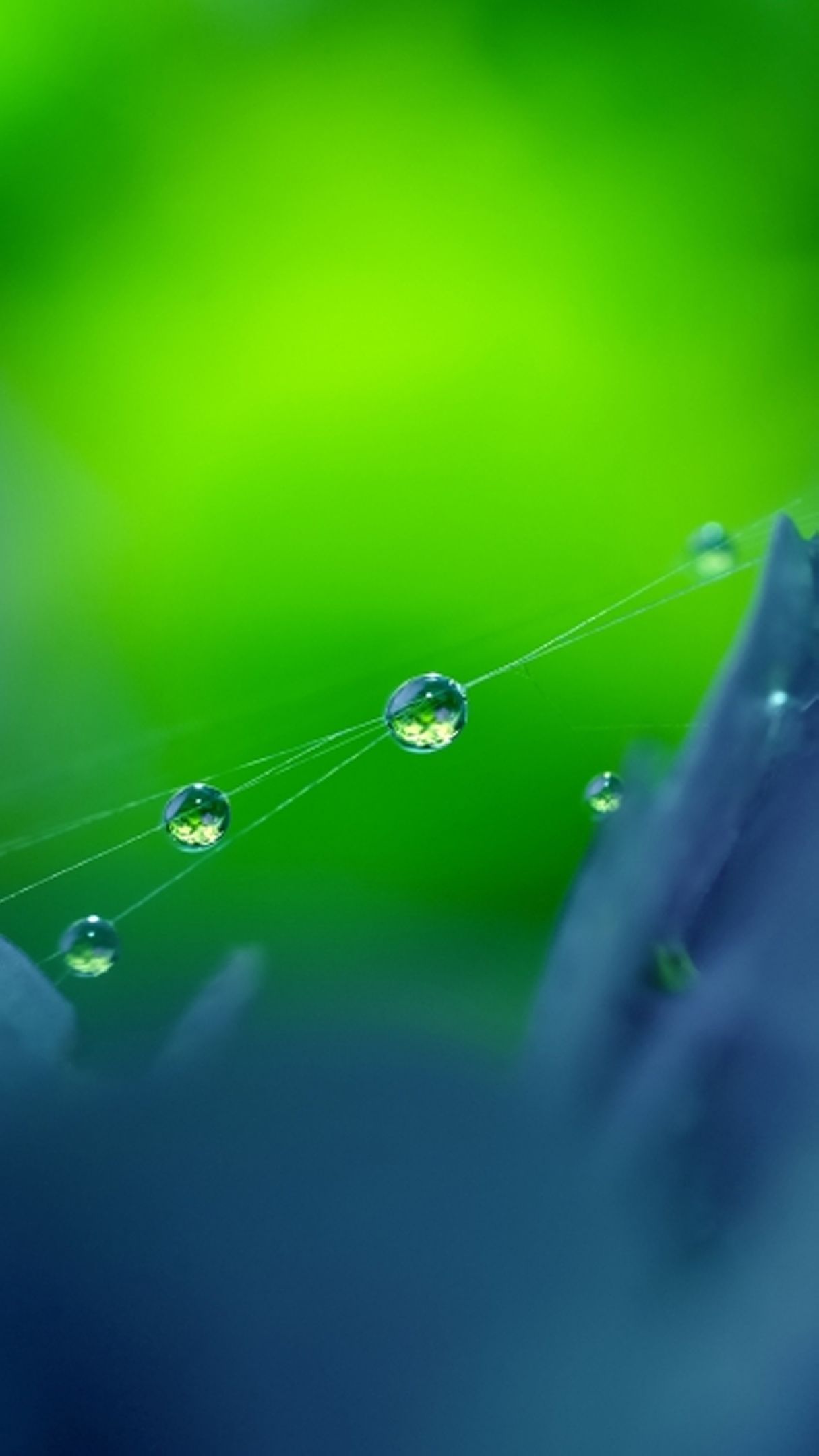 Green Nature Mobile 4k Wallpapers Wallpaper Cave