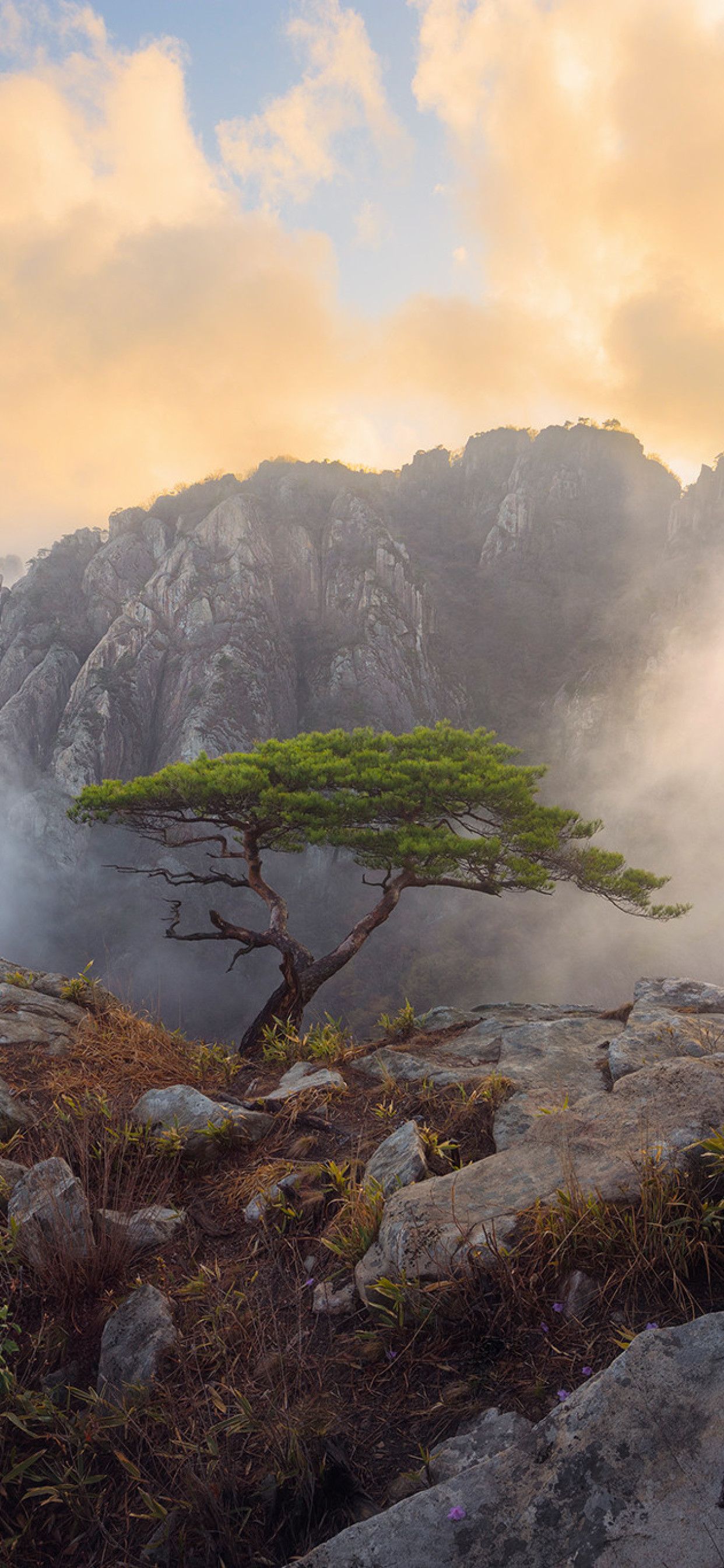 HD iPhone Korean Nature Wallpapers Wallpaper Cave