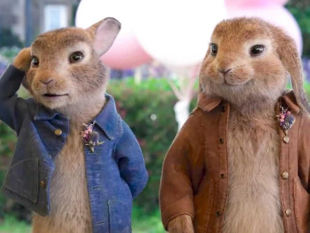 Peter Rabbit 2 Wallpapers Wallpaper Cave