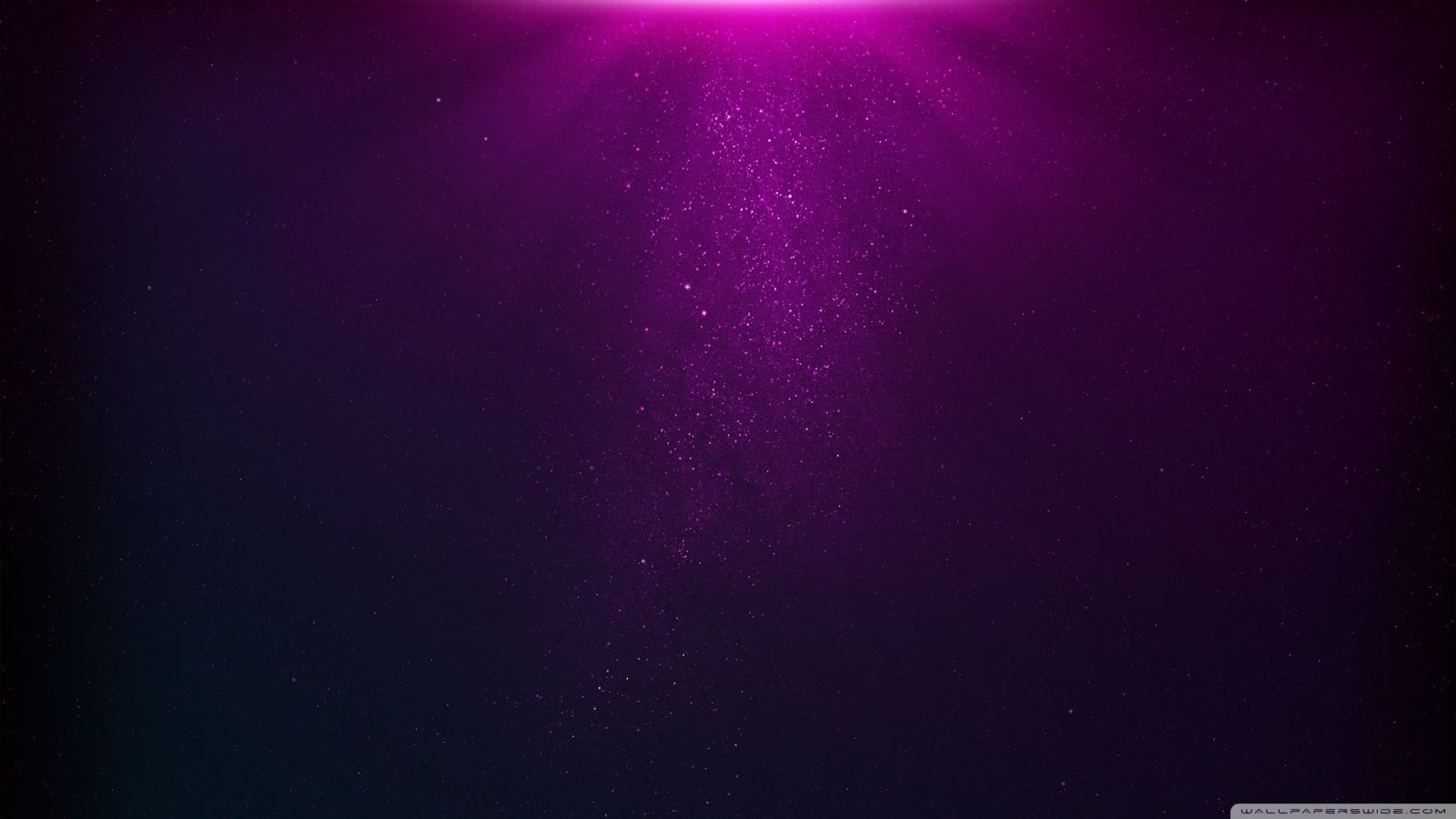 Fuchsia Wallpapers Wallpaper Cave