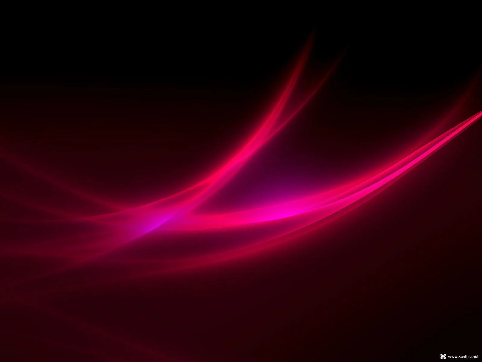 Fuchsia Wallpapers Wallpaper Cave