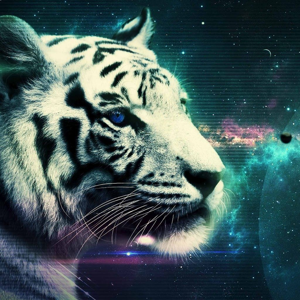 Galaxy Tiger Wallpapers Wallpaper Cave