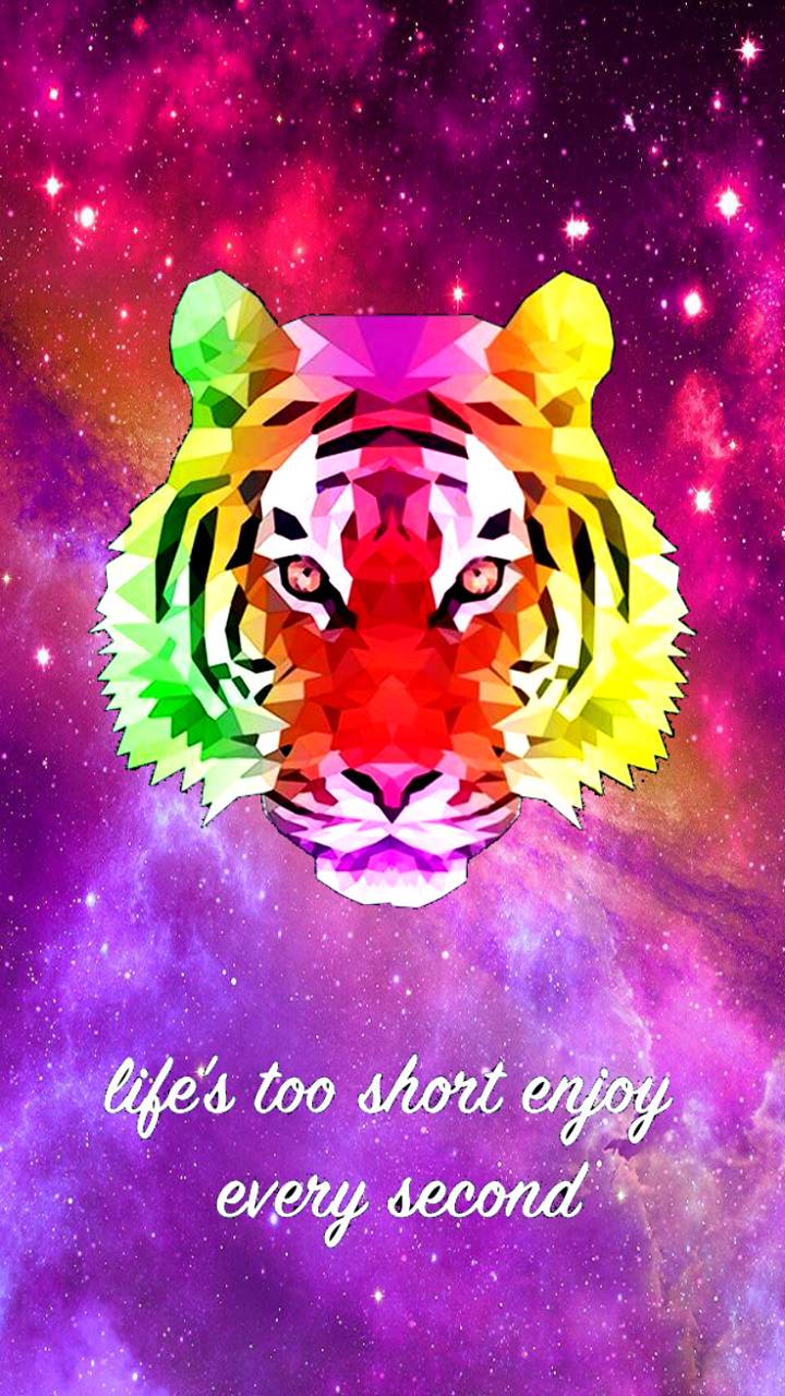 Galaxy Tiger Wallpapers Wallpaper Cave