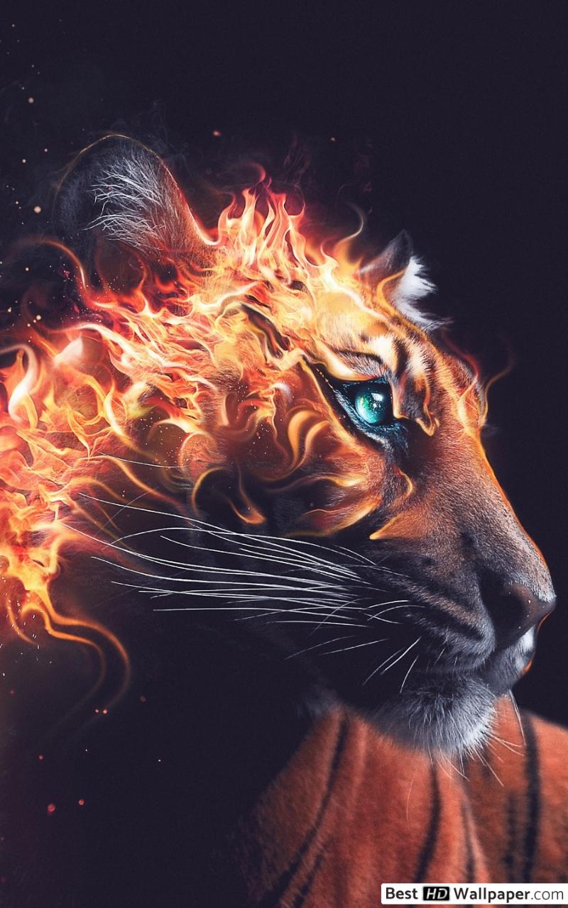 Galaxy Tiger Wallpapers Wallpaper Cave