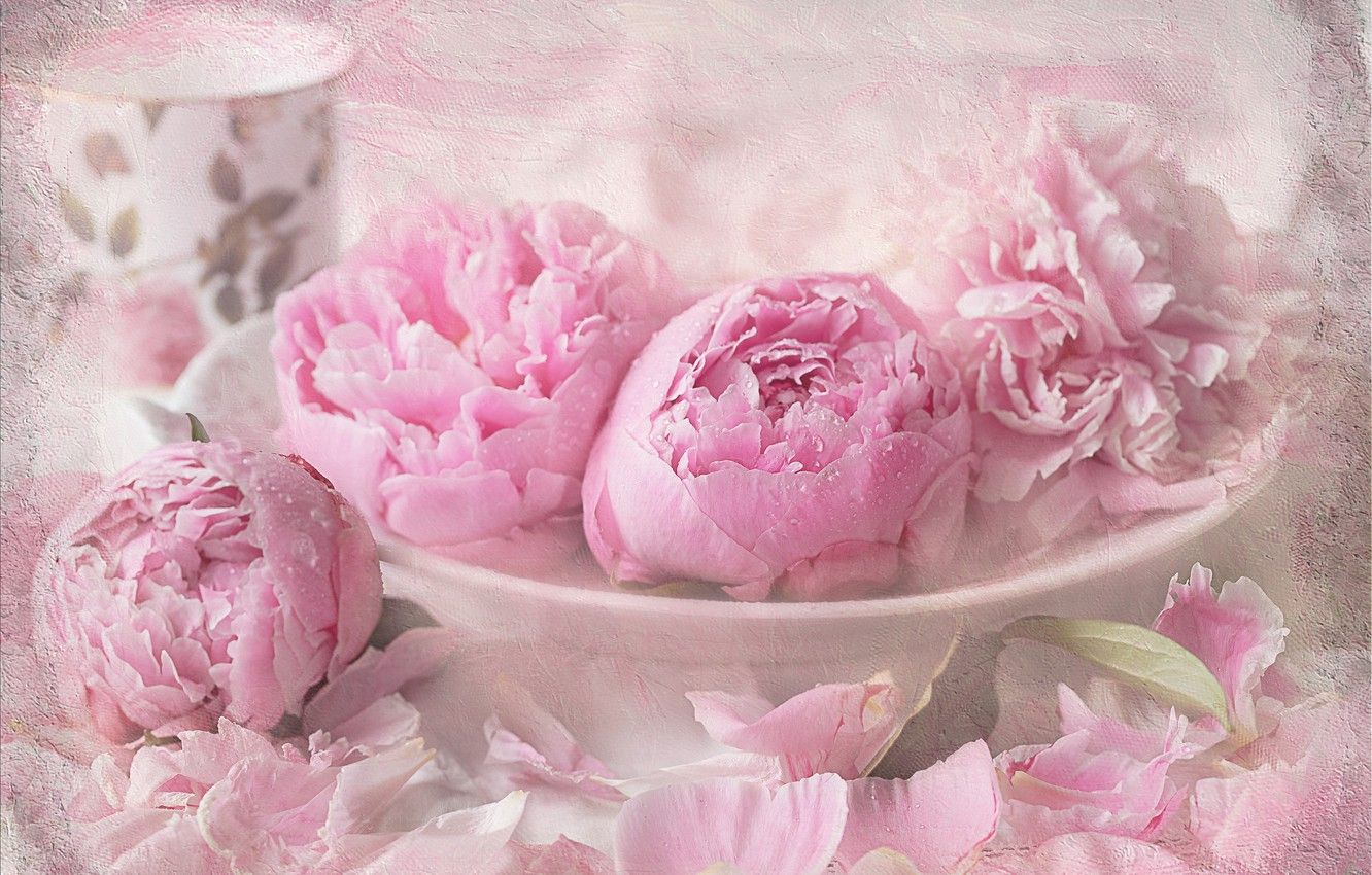 Pink Peonies Wallpapers Wallpaper Cave
