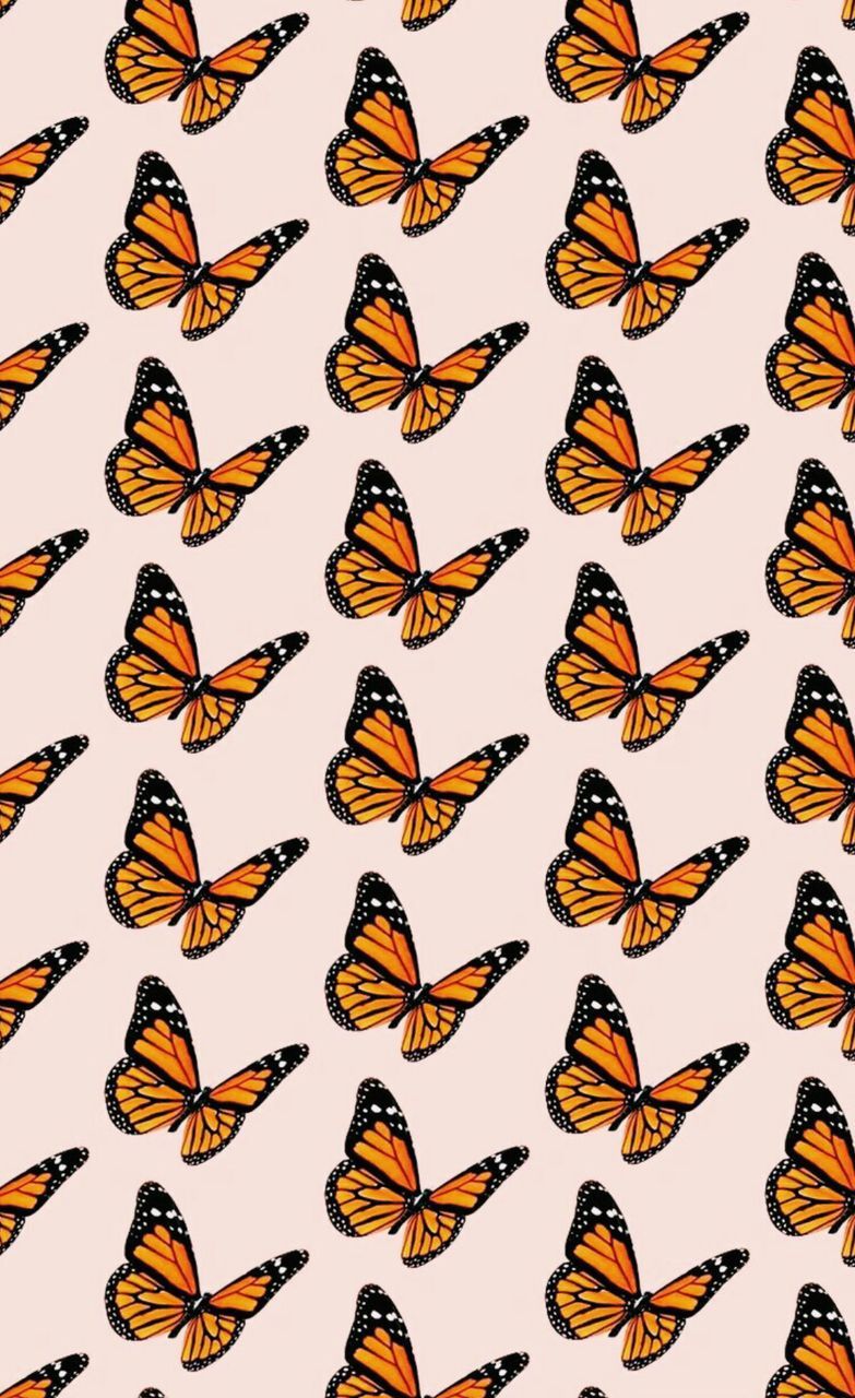 VSCO Butterflies Wallpapers Wallpaper Cave