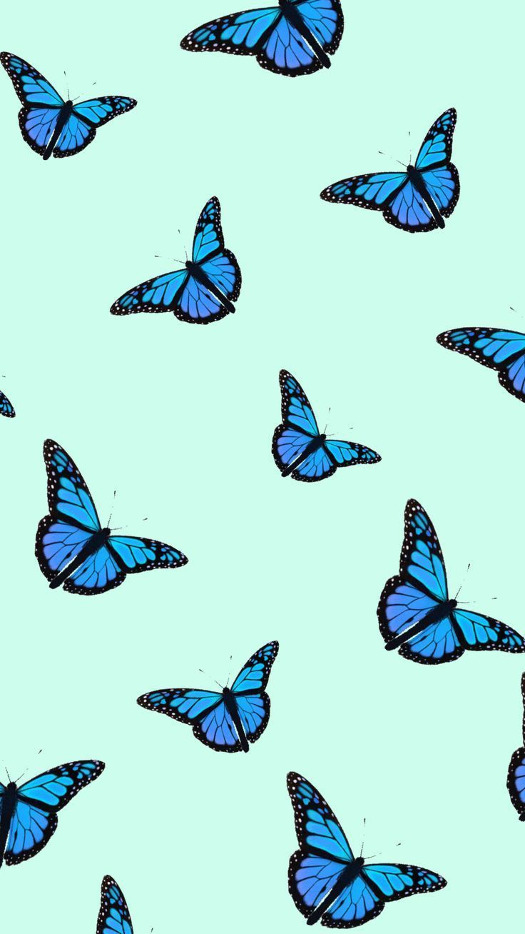 Butterfly Emoji Wallpapers Wallpaper Cave