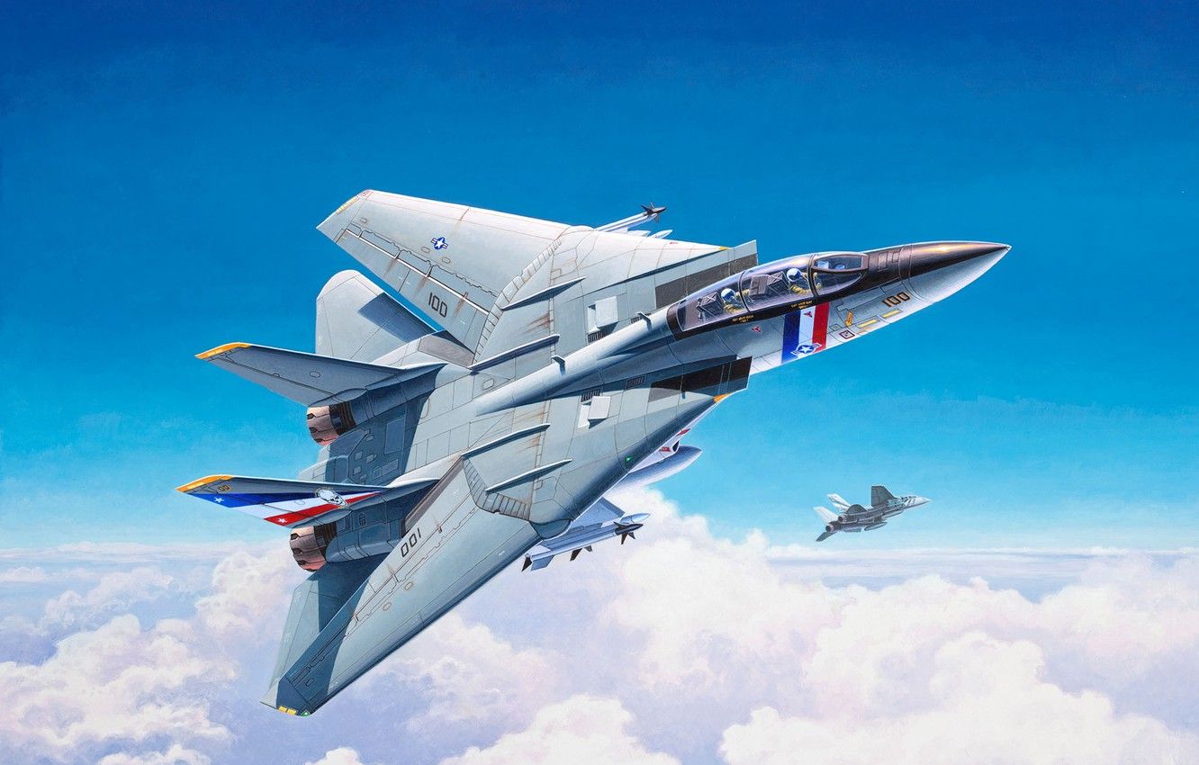 Tomcat Wallpapers Wallpaper Cave