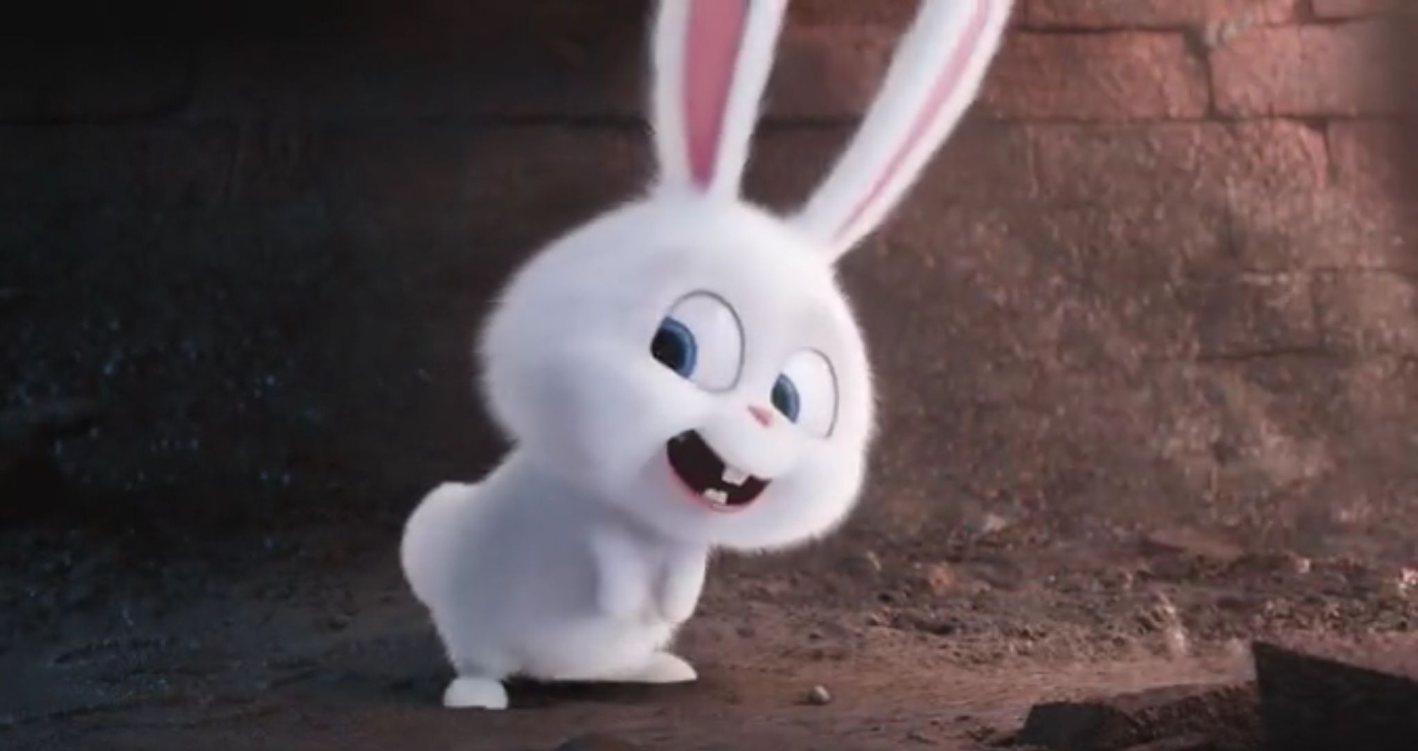 Snowball Wallpapers Wallpaper Cave