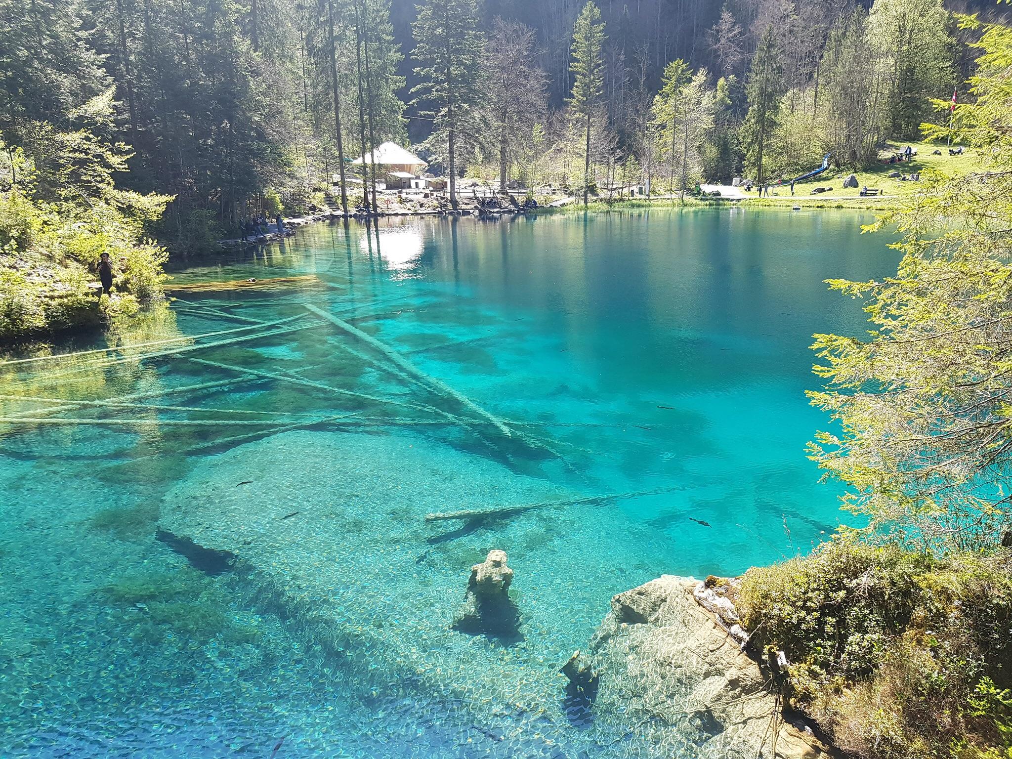 Blausee Switzerland Wallpapers Wallpaper Cave