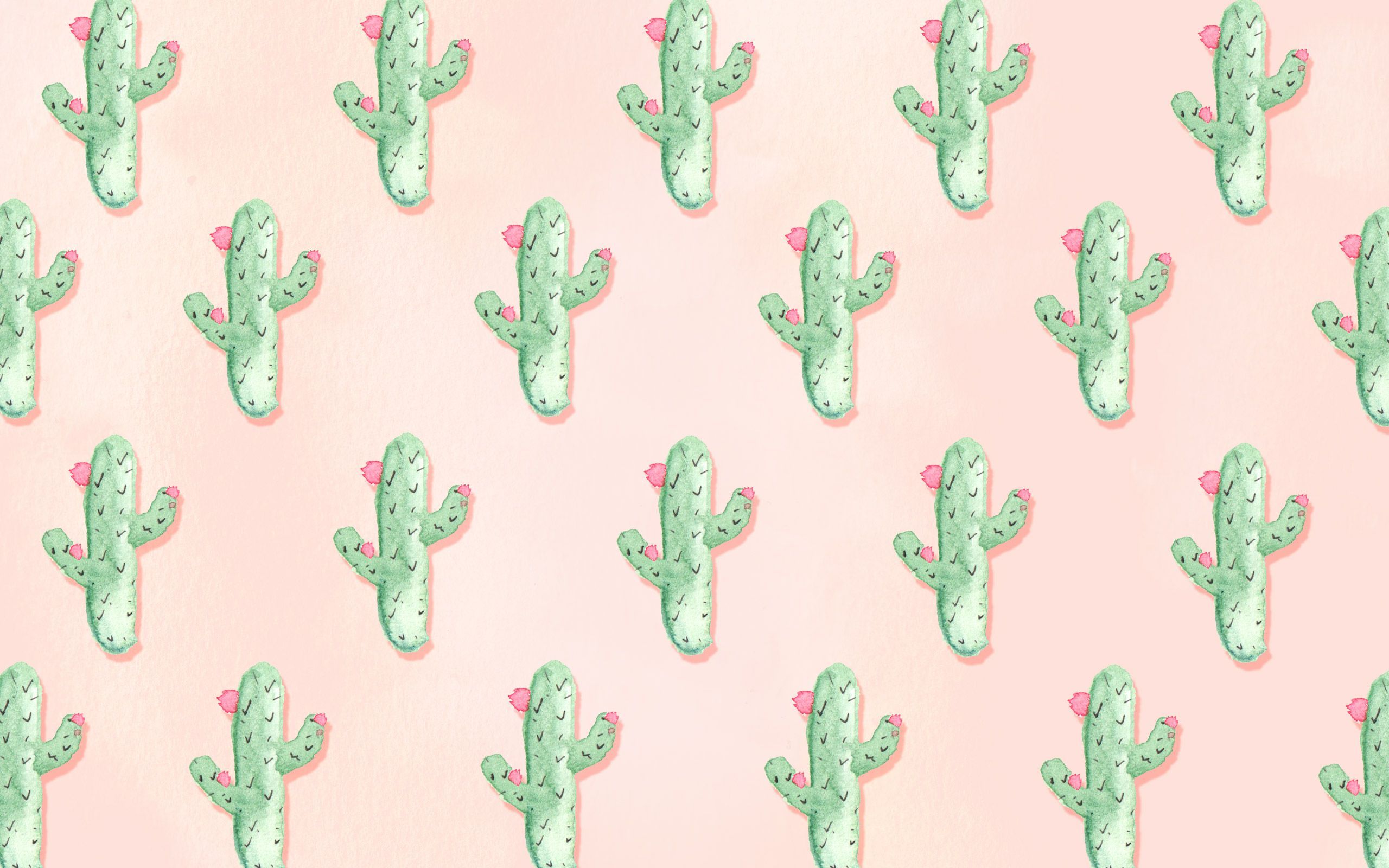 Cactus Pink Aesthetic Wallpapers Wallpaper Cave