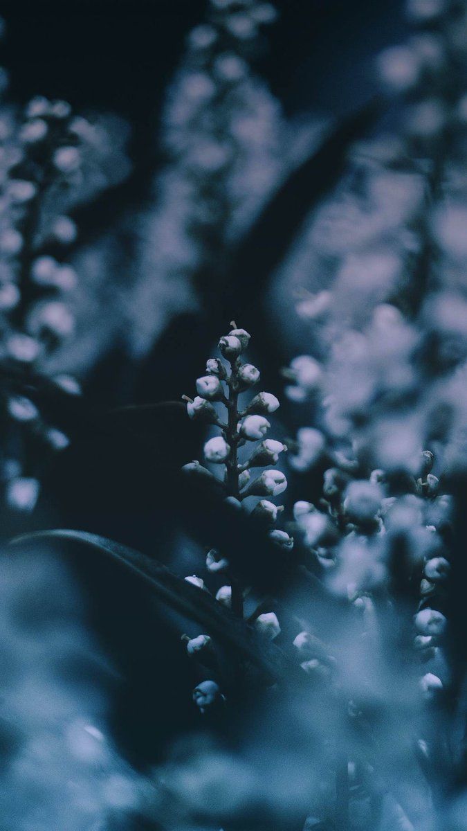 iPhone Home Screen 4k Wallpapers Wallpaper Cave